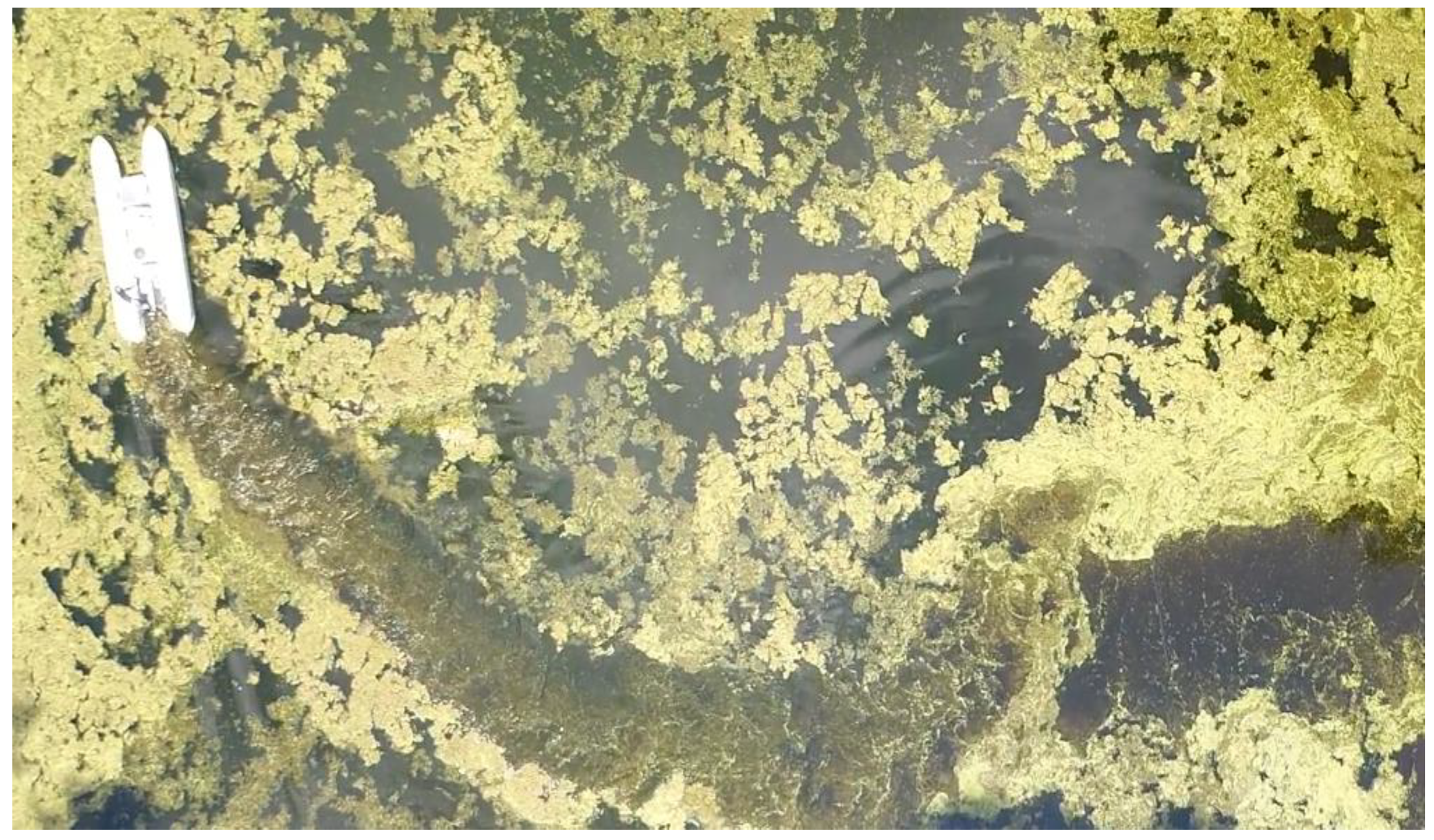 Applsci 09 02410 g018