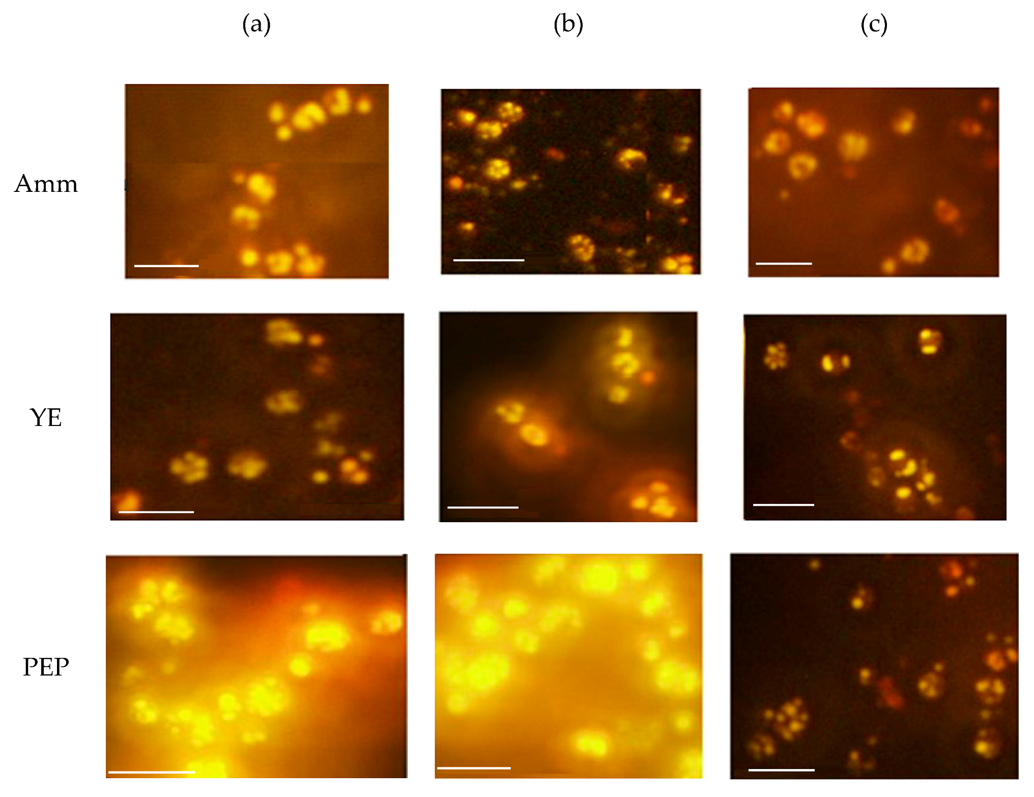 Applsci 09 02444 g001 Applsci 09 02444 g001
