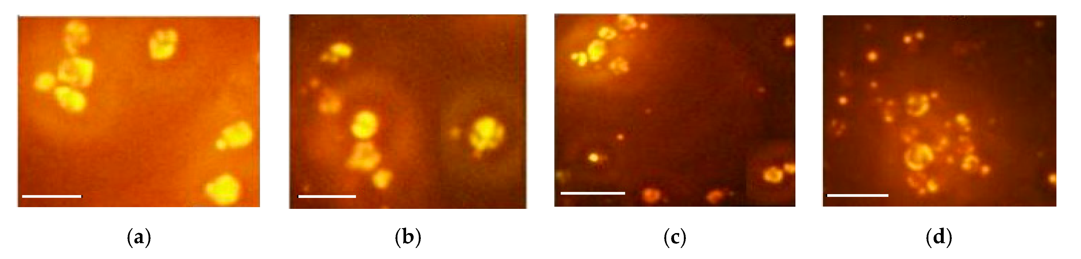 Applsci 09 02444 g002 Applsci 09 02444 g002
