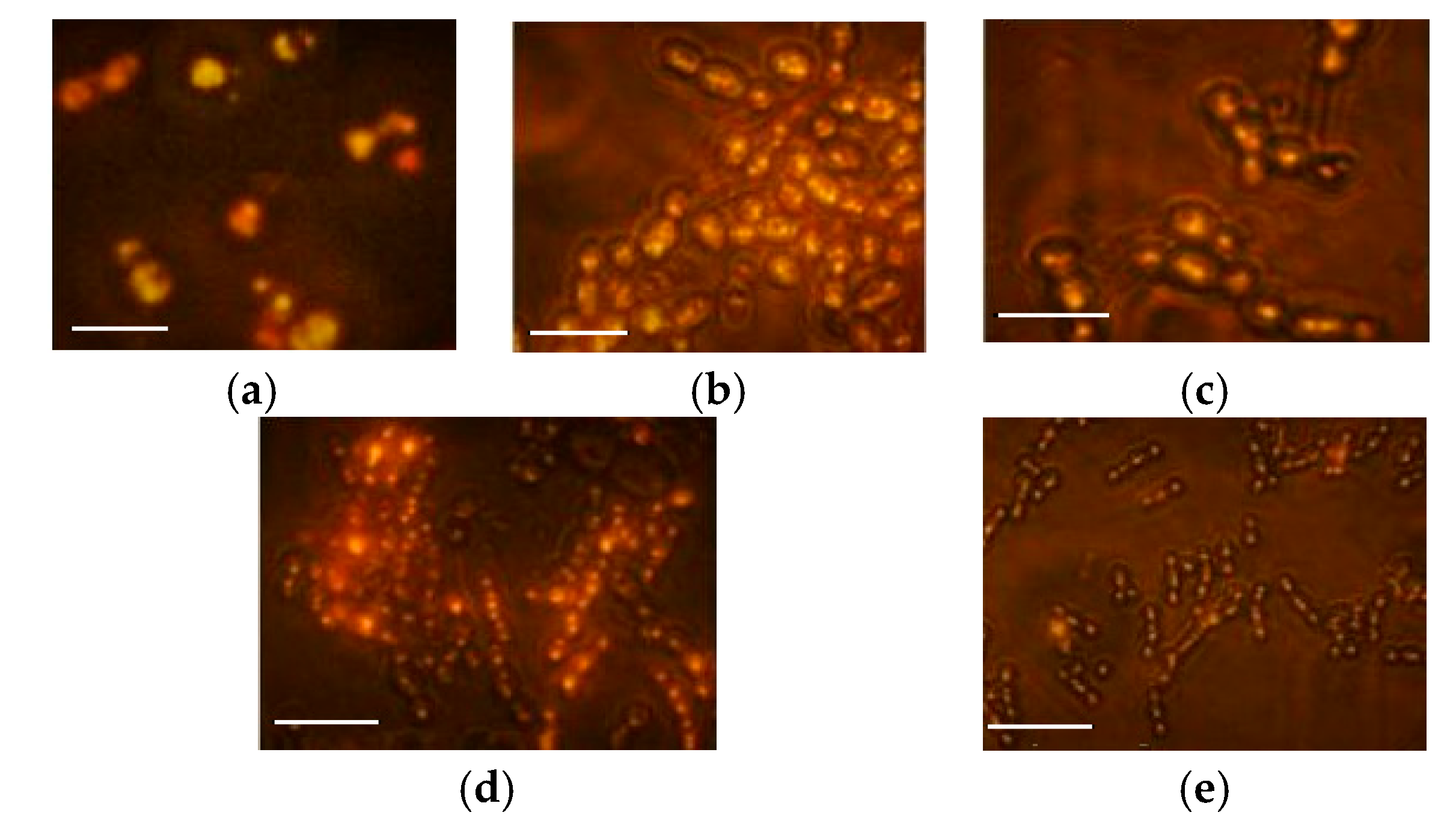 Applsci 09 02444 g003 Applsci 09 02444 g003