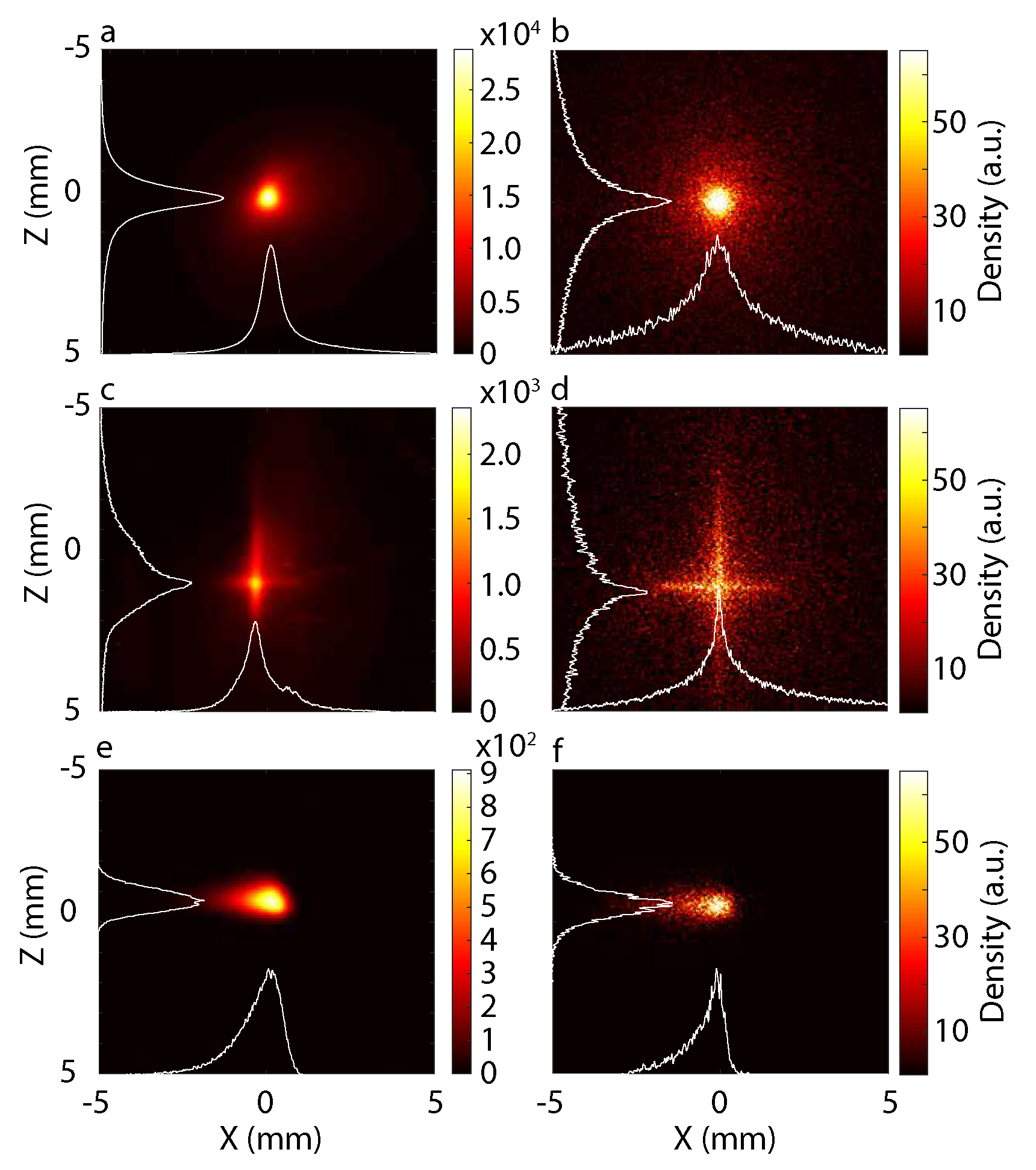 Applied Sciences Free Full Text Skew Quadrupole Effect Of Laser Plasma Electron Beam Transport Html