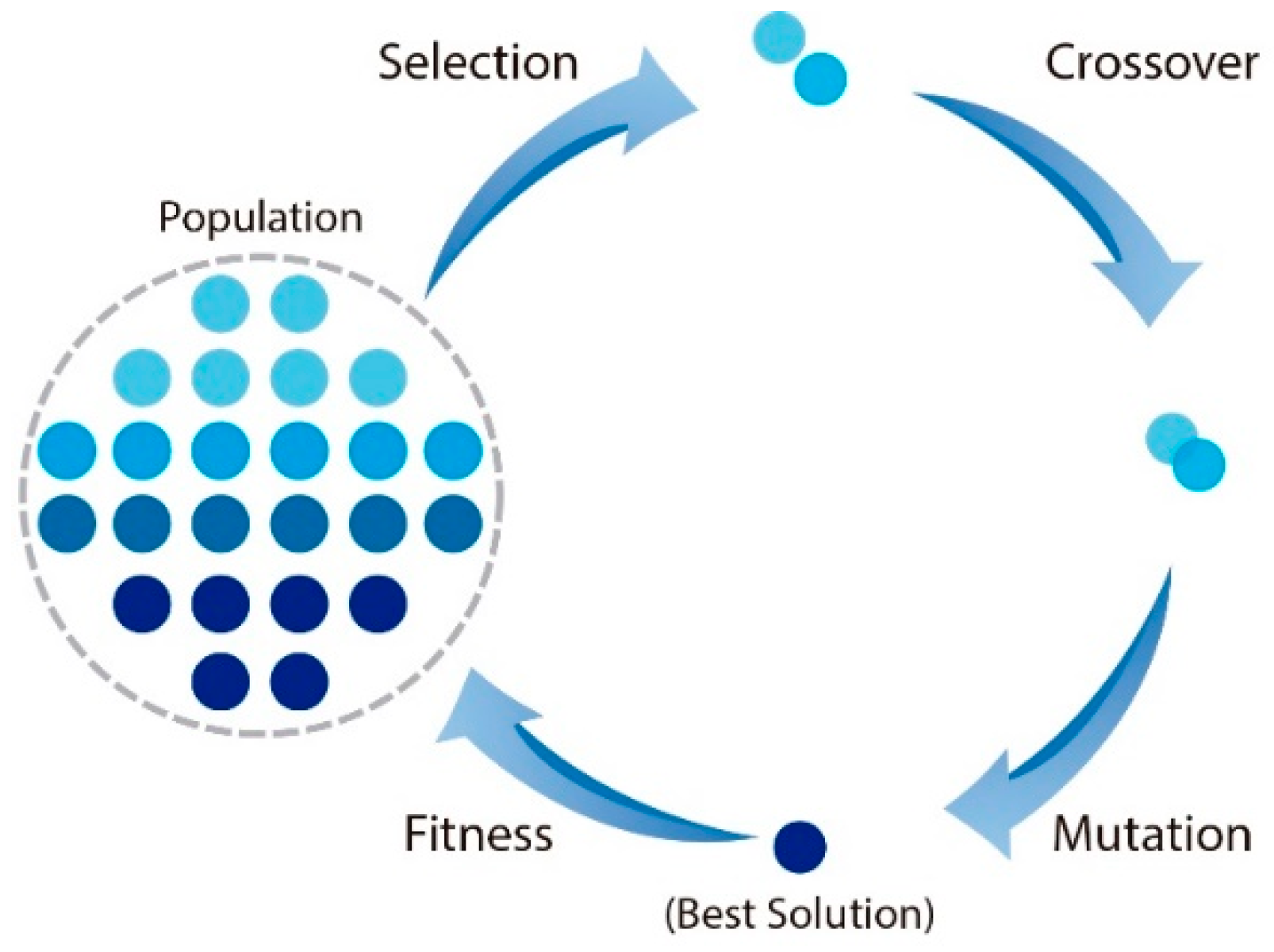 Applsci 09 02469 g005