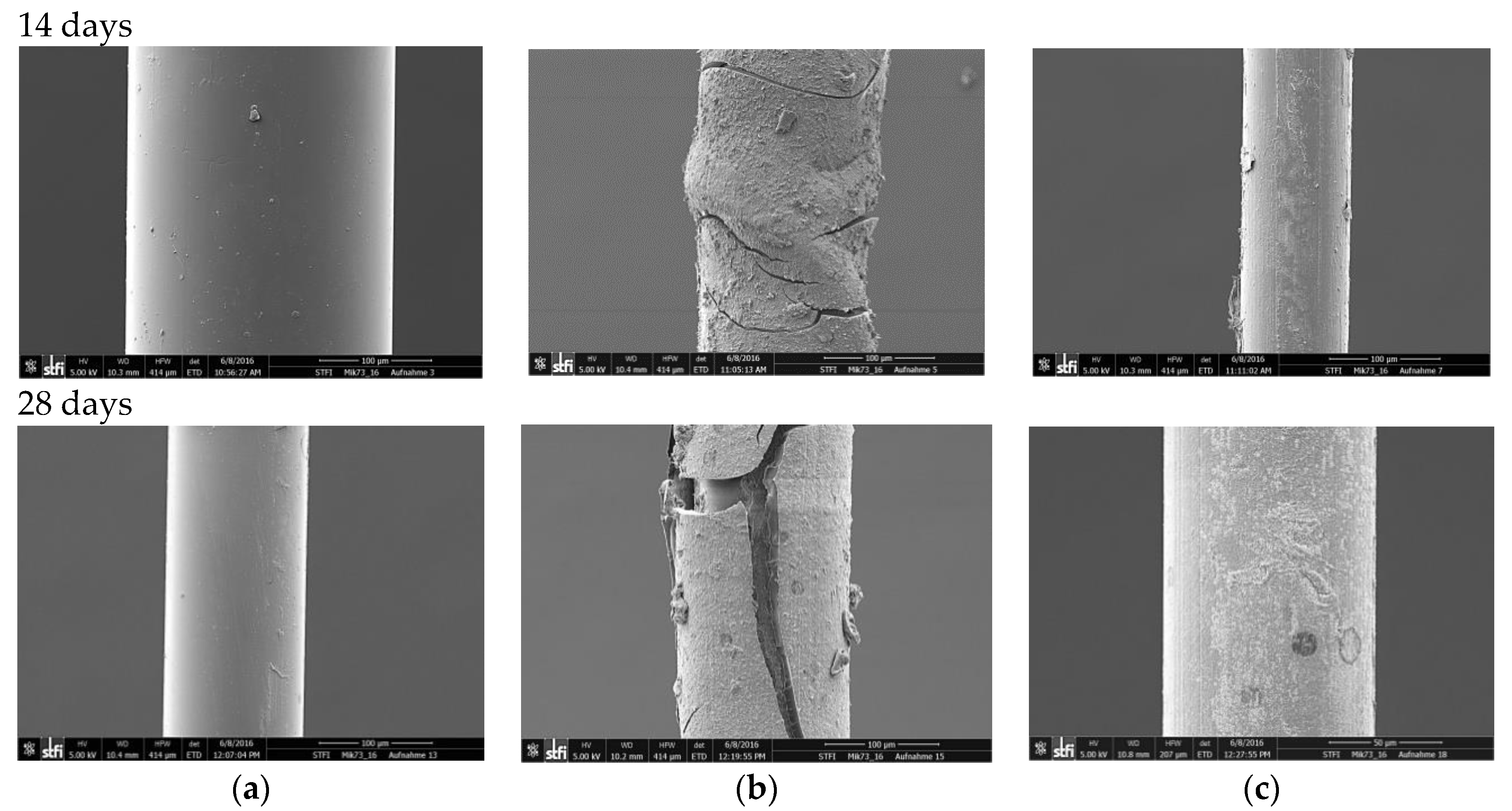 Applsci 09 02476 g005
