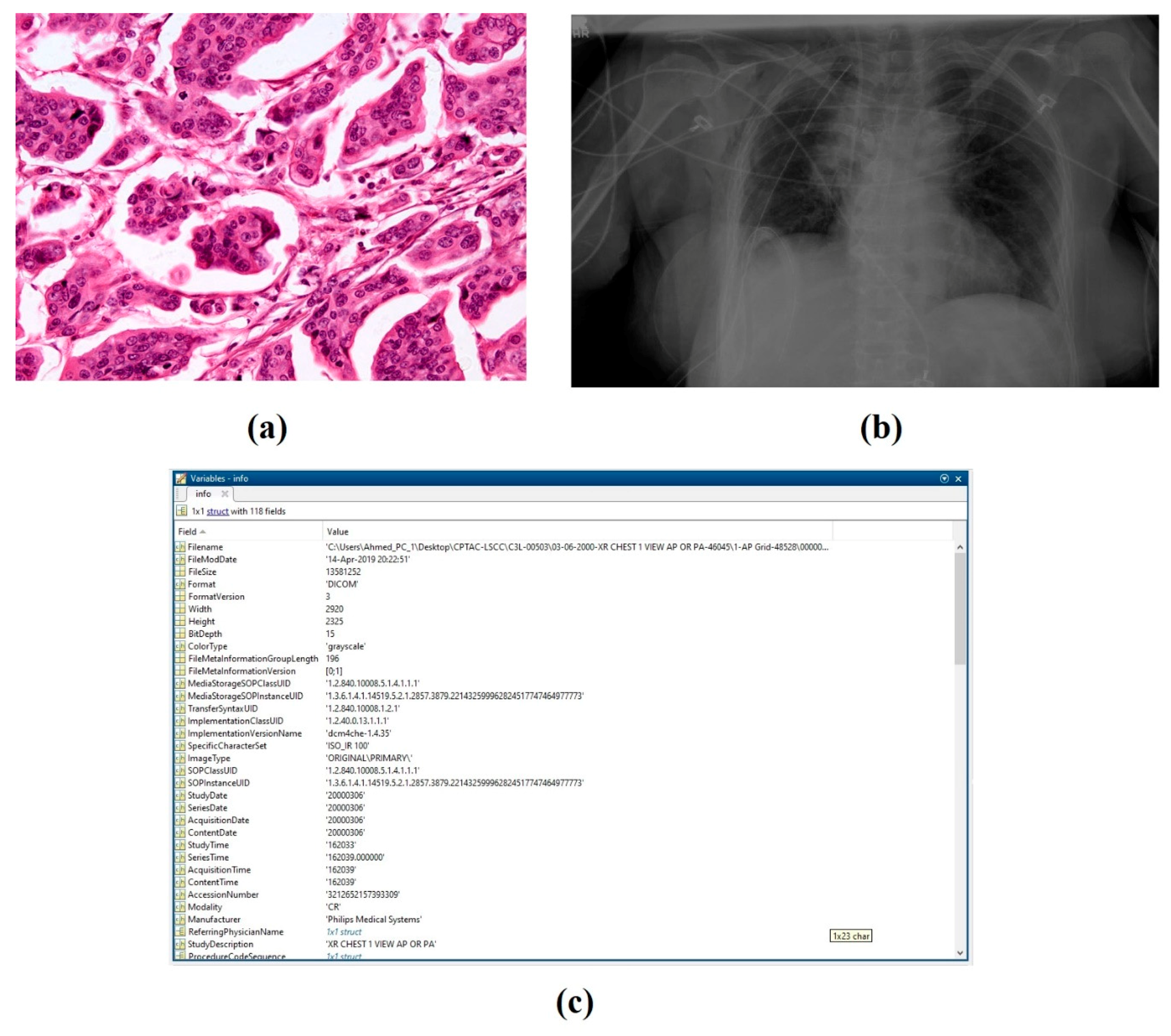 Applsci 09 02494 g006
