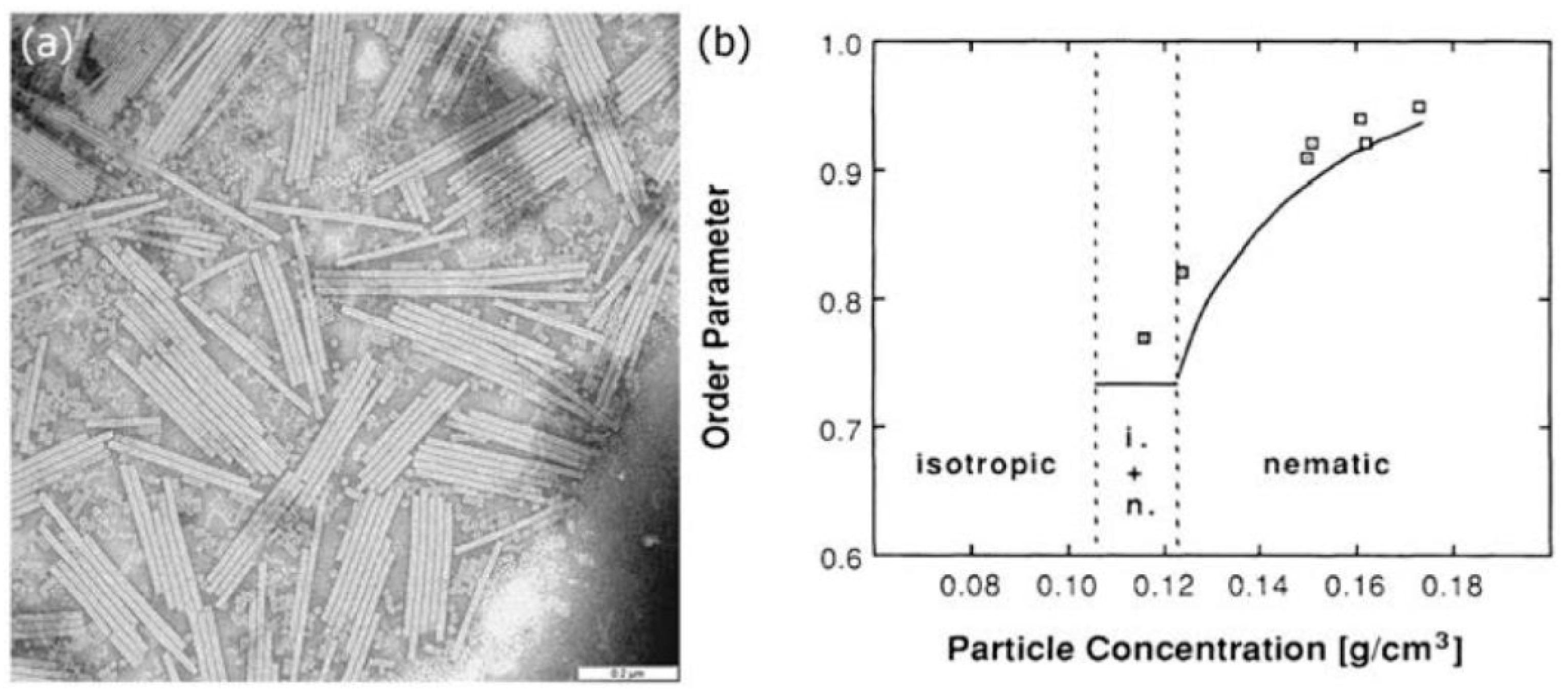 Barebacking Shemale Avilla Scherzinger - Applied Sciences | Free Full-Text | Perspectives in Liquid-Crystal-Aided  Nanotechnology and Nanoscience