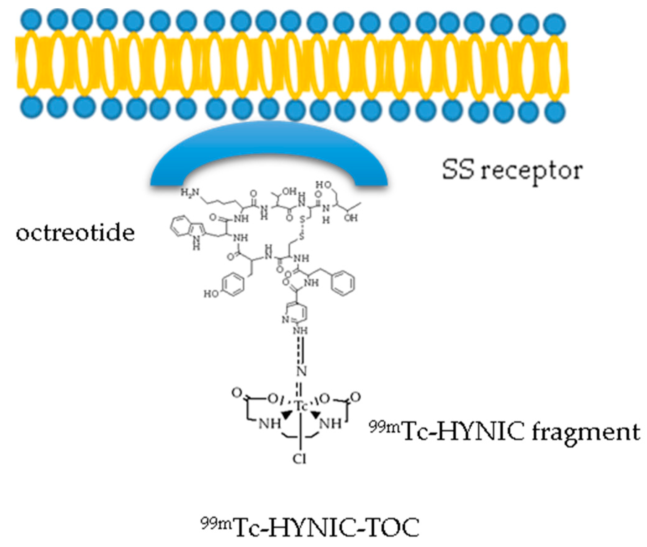 Applsci 09 02526 g007 Applsci 09 02526 g007