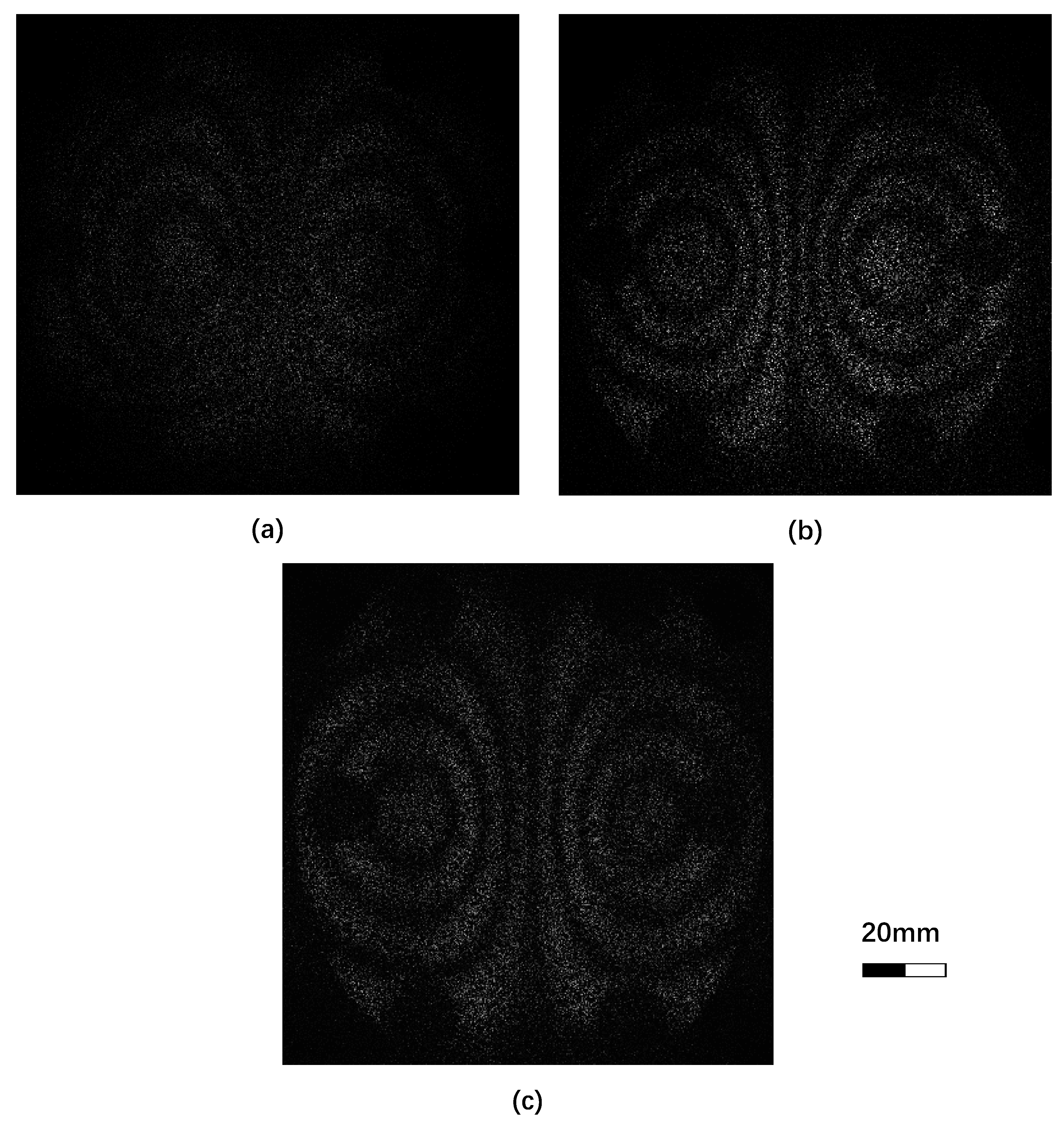 Applsci 09 02554 g004 550