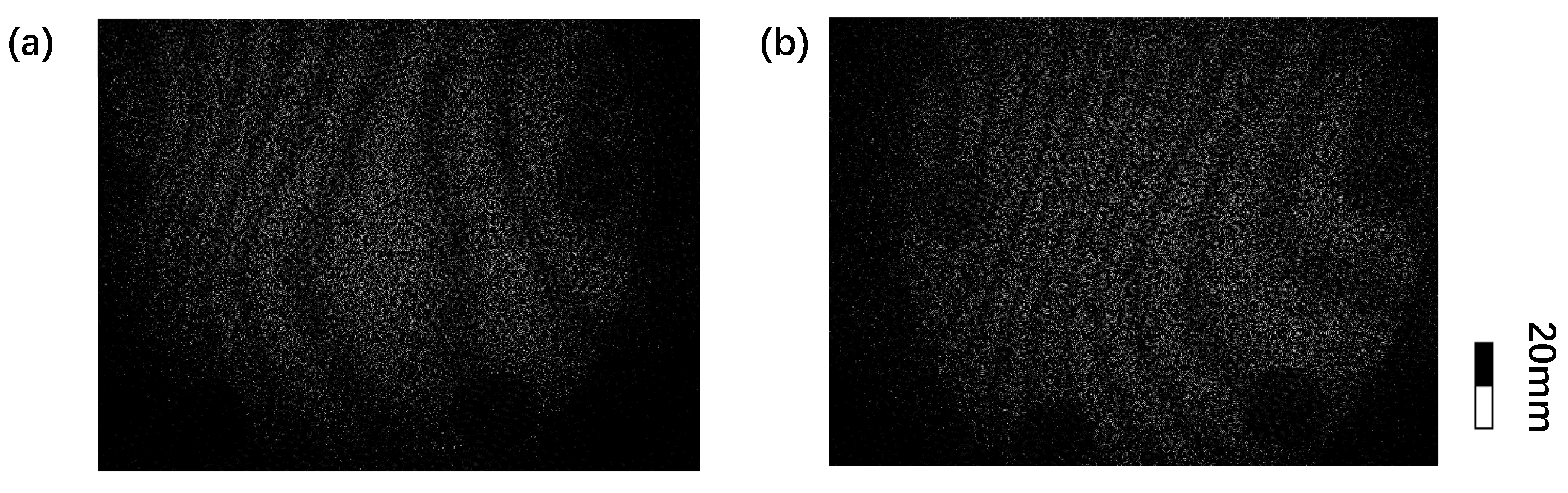 Applsci 09 02554 g006 550