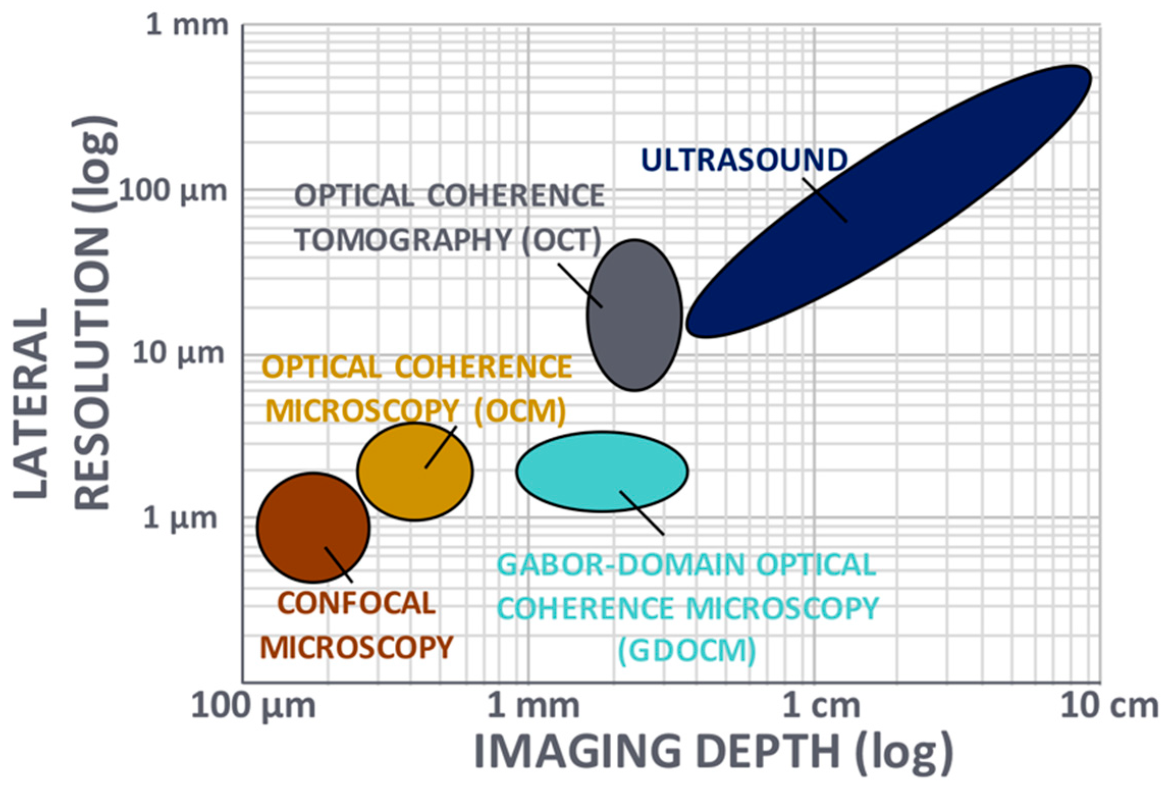 In vivo corneal elastography: A topical review of challenges and  opportunities - Computational and Structural Biotechnology Journal