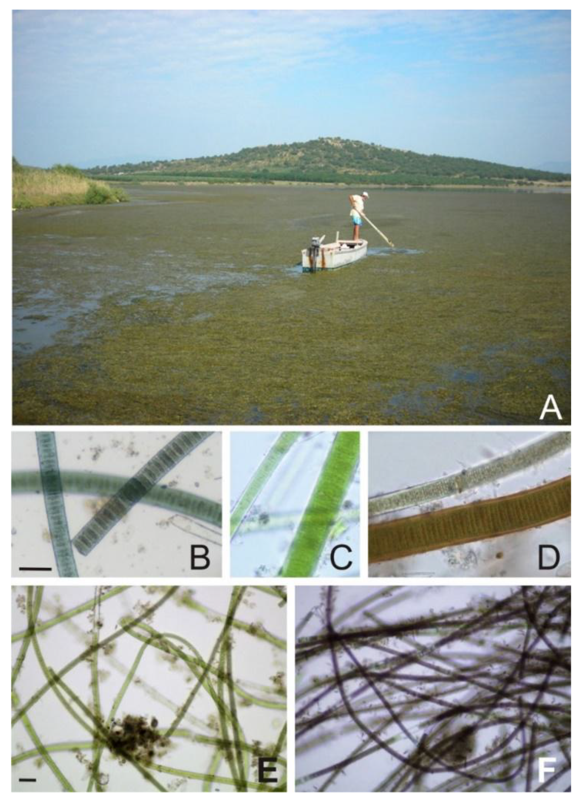 Applsci 09 02566 g001 Applsci 09 02566 g001