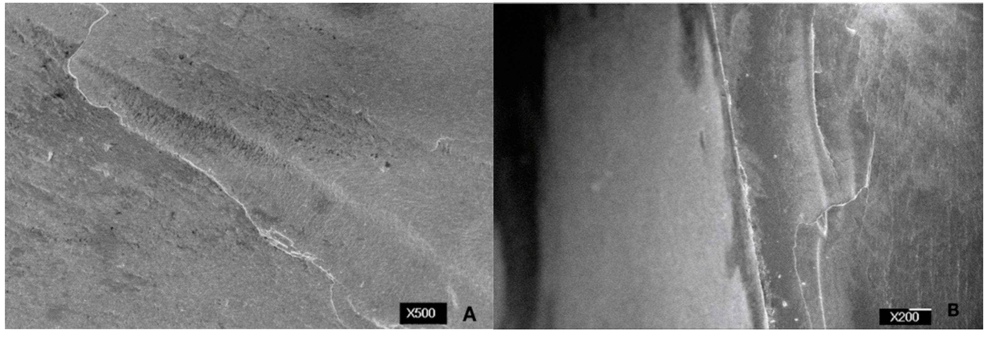 Applsci 09 02585 g009a