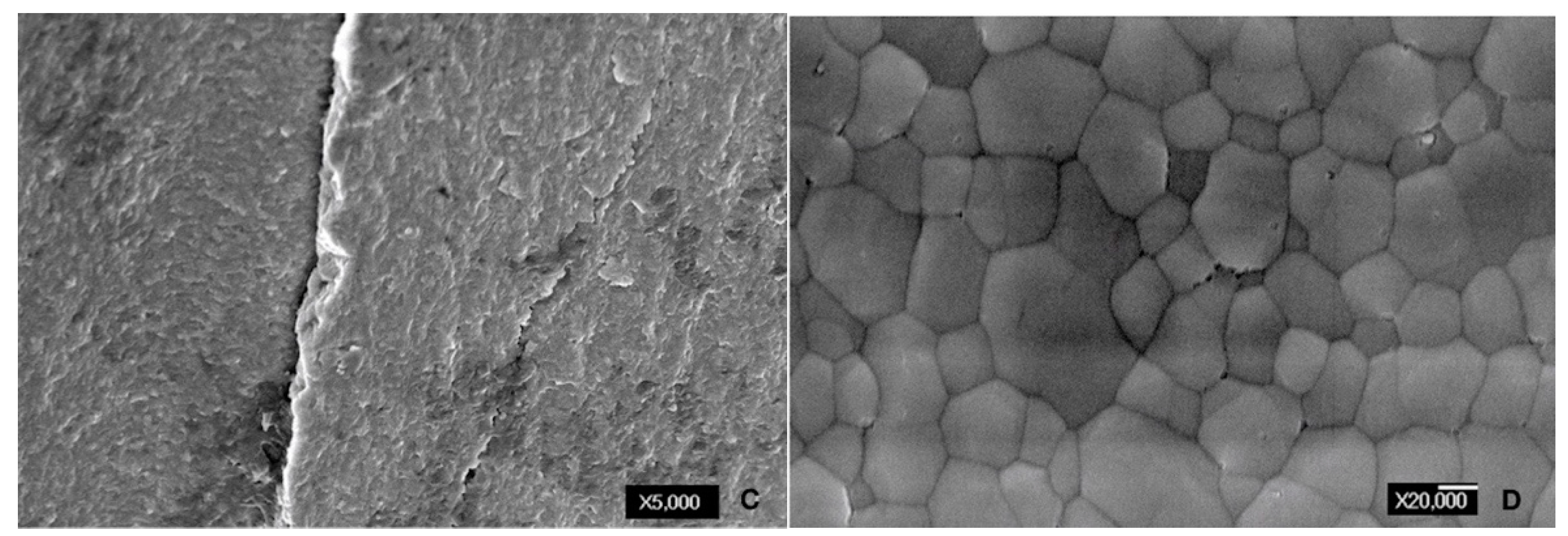 Applsci 09 02585 g009b