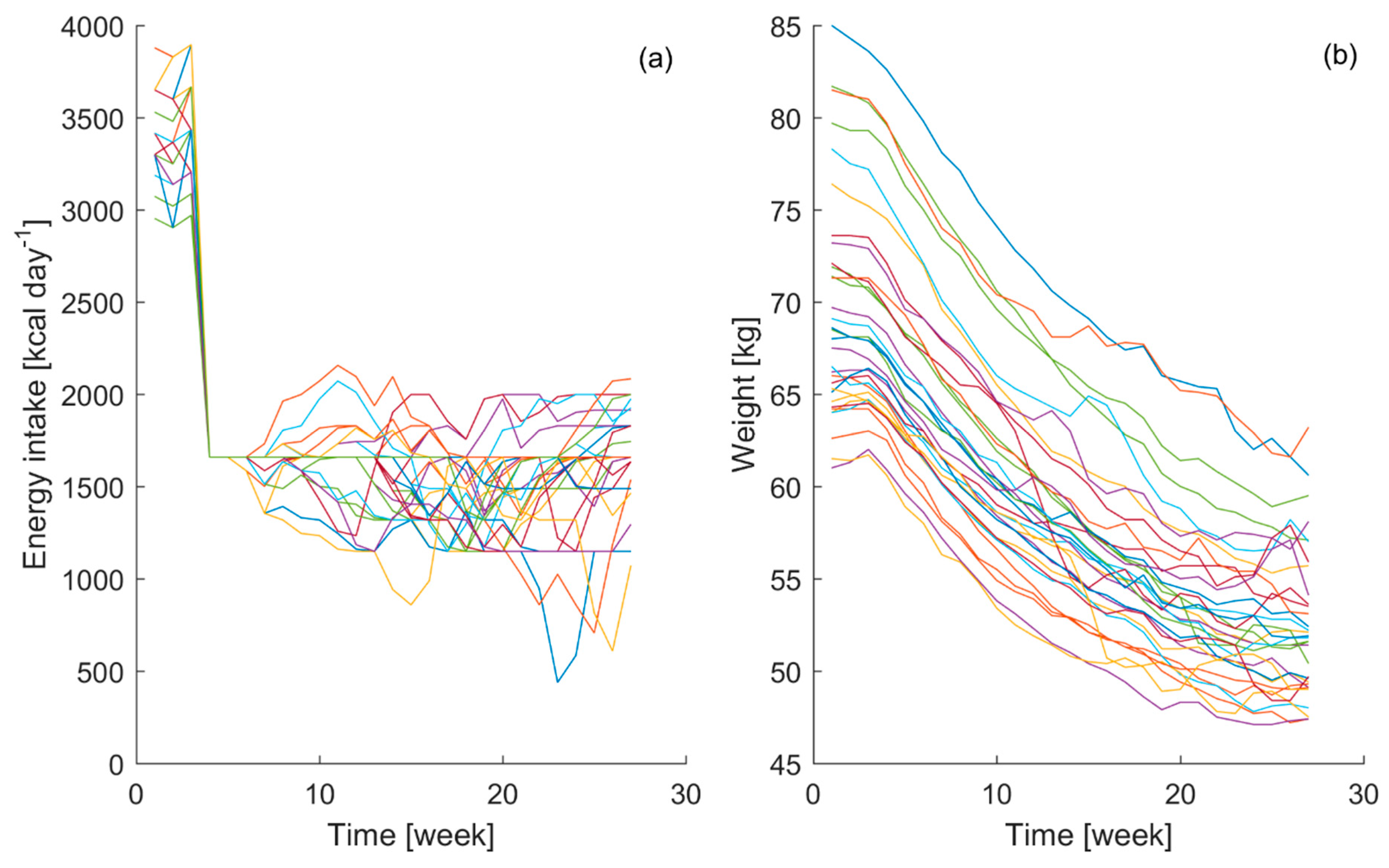 applied sciences free full text real time model bodyweight