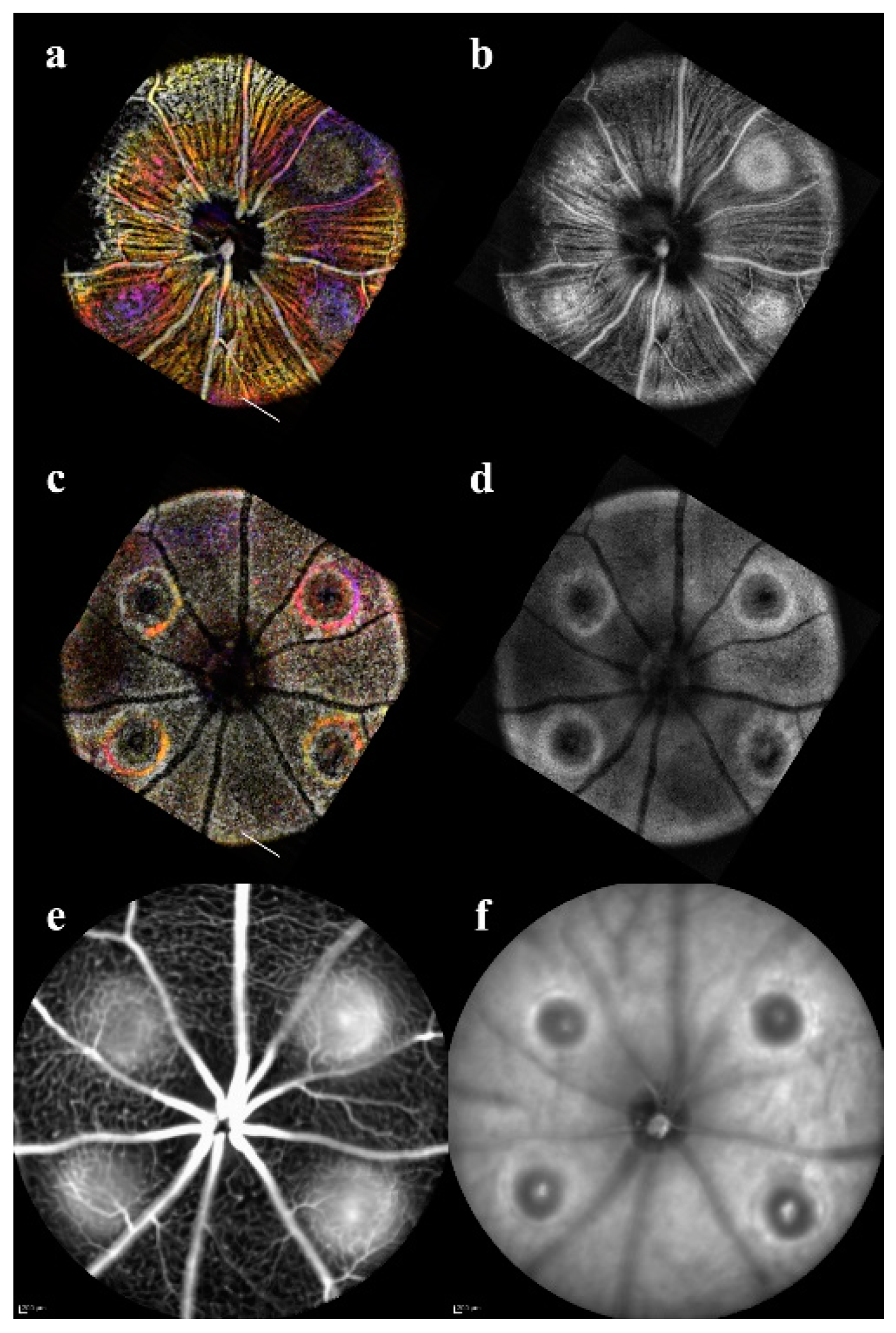Applsci 09 02617 g002