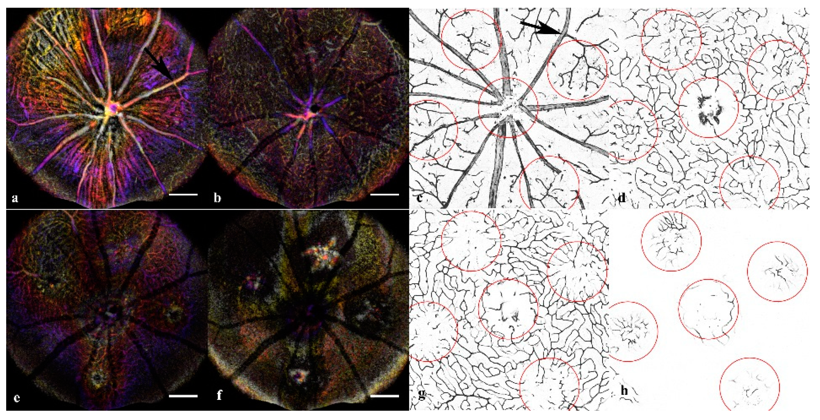 Applsci 09 02617 g003