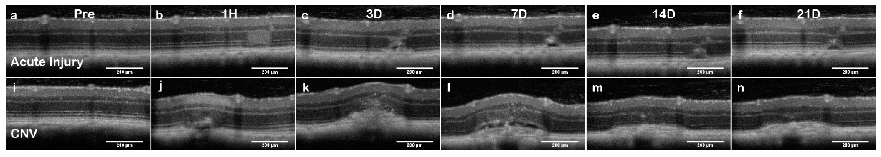 Applsci 09 02617 g004