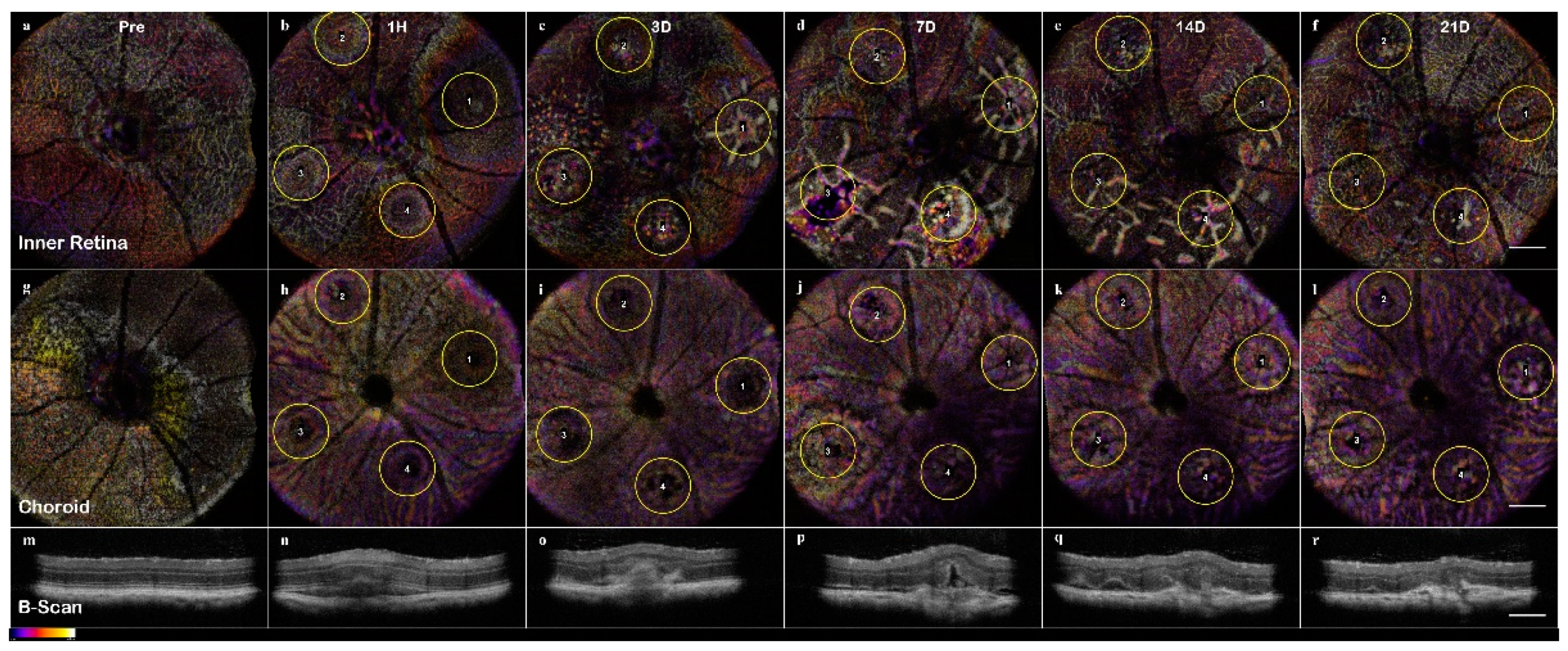 Applsci 09 02617 g006