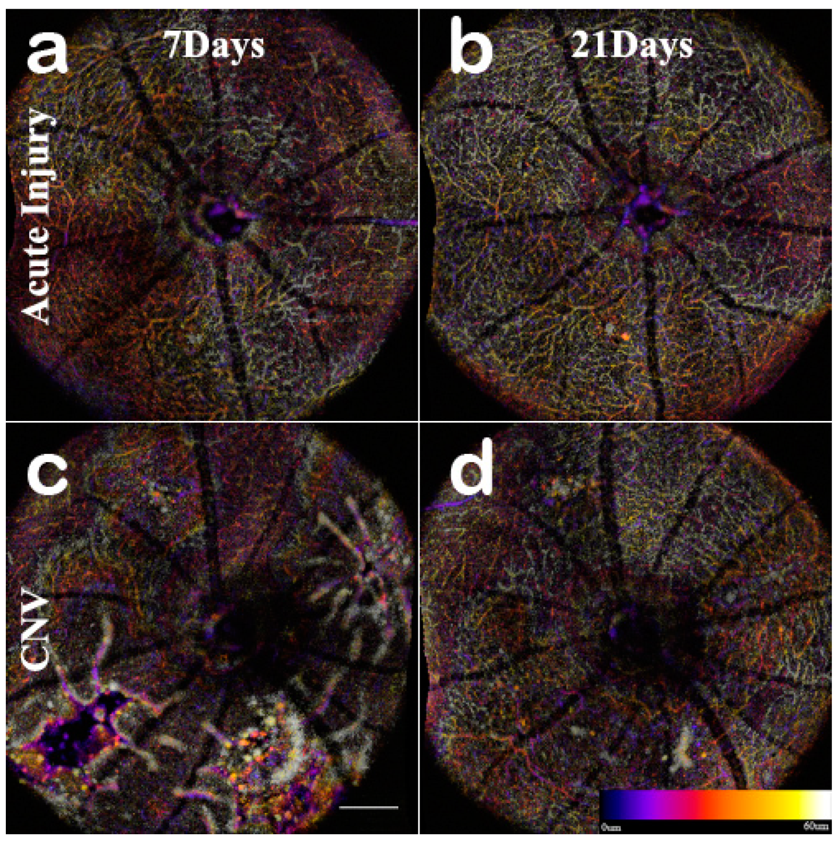 Applsci 09 02617 g007