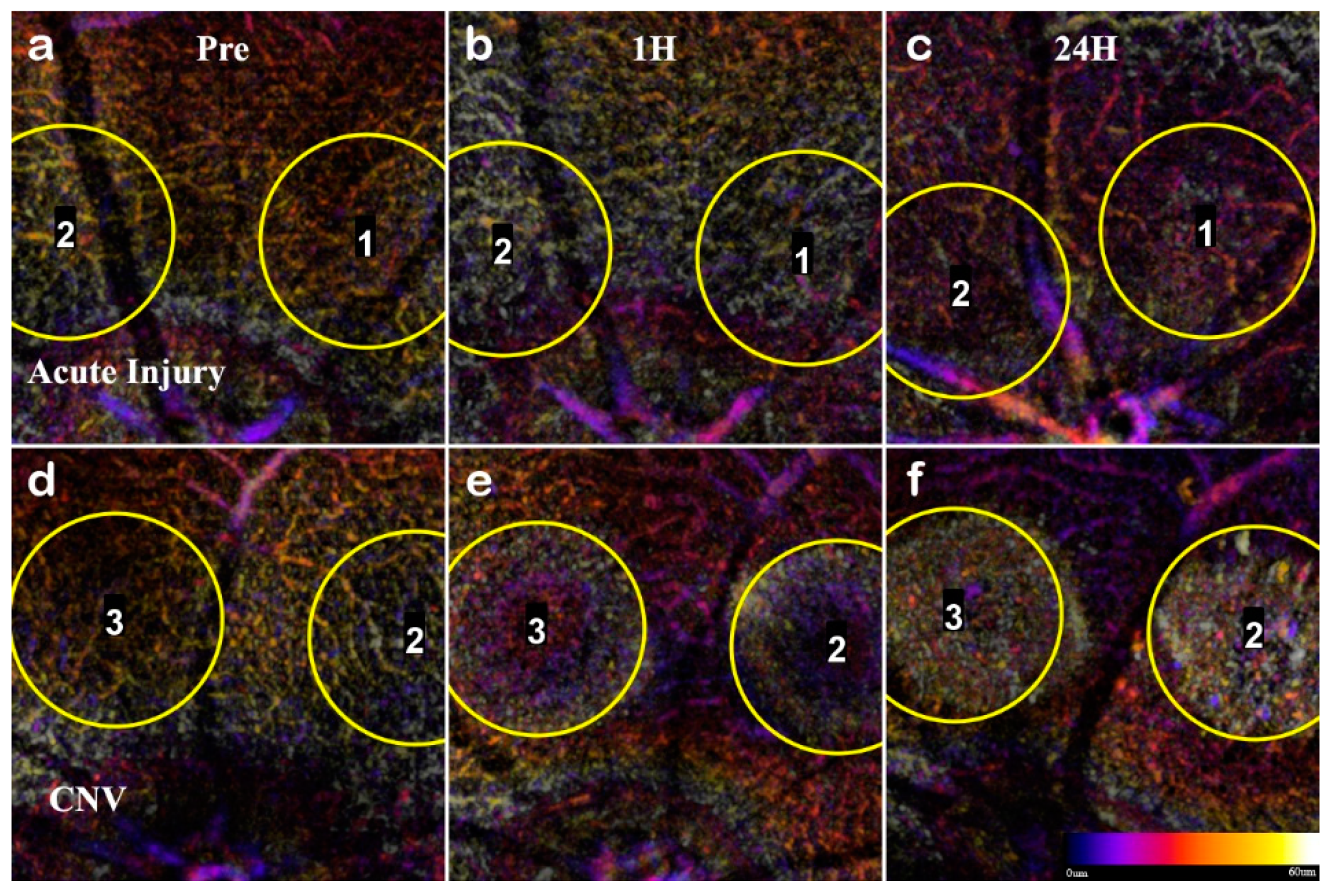 Applsci 09 02617 g008