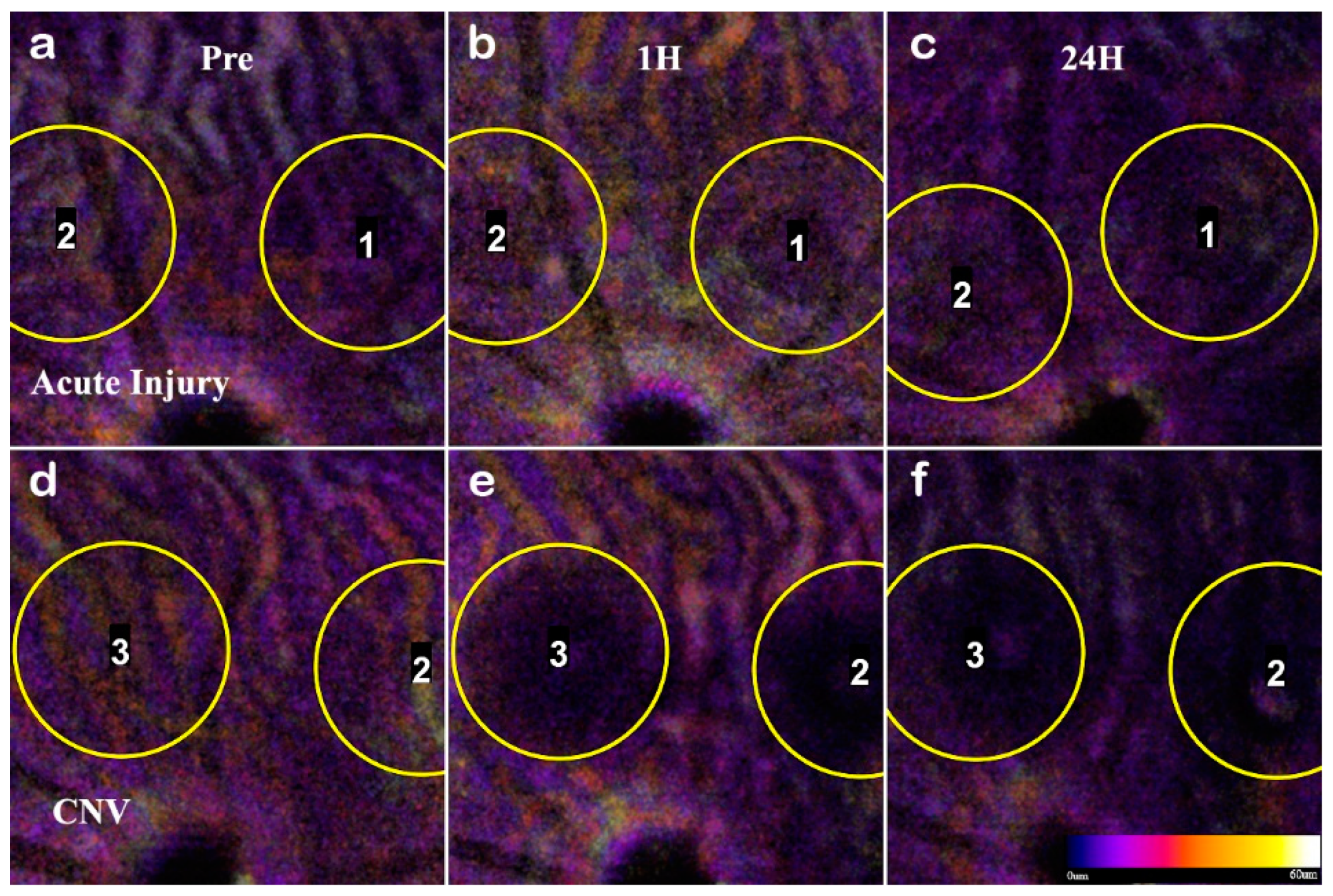 Applsci 09 02617 g009