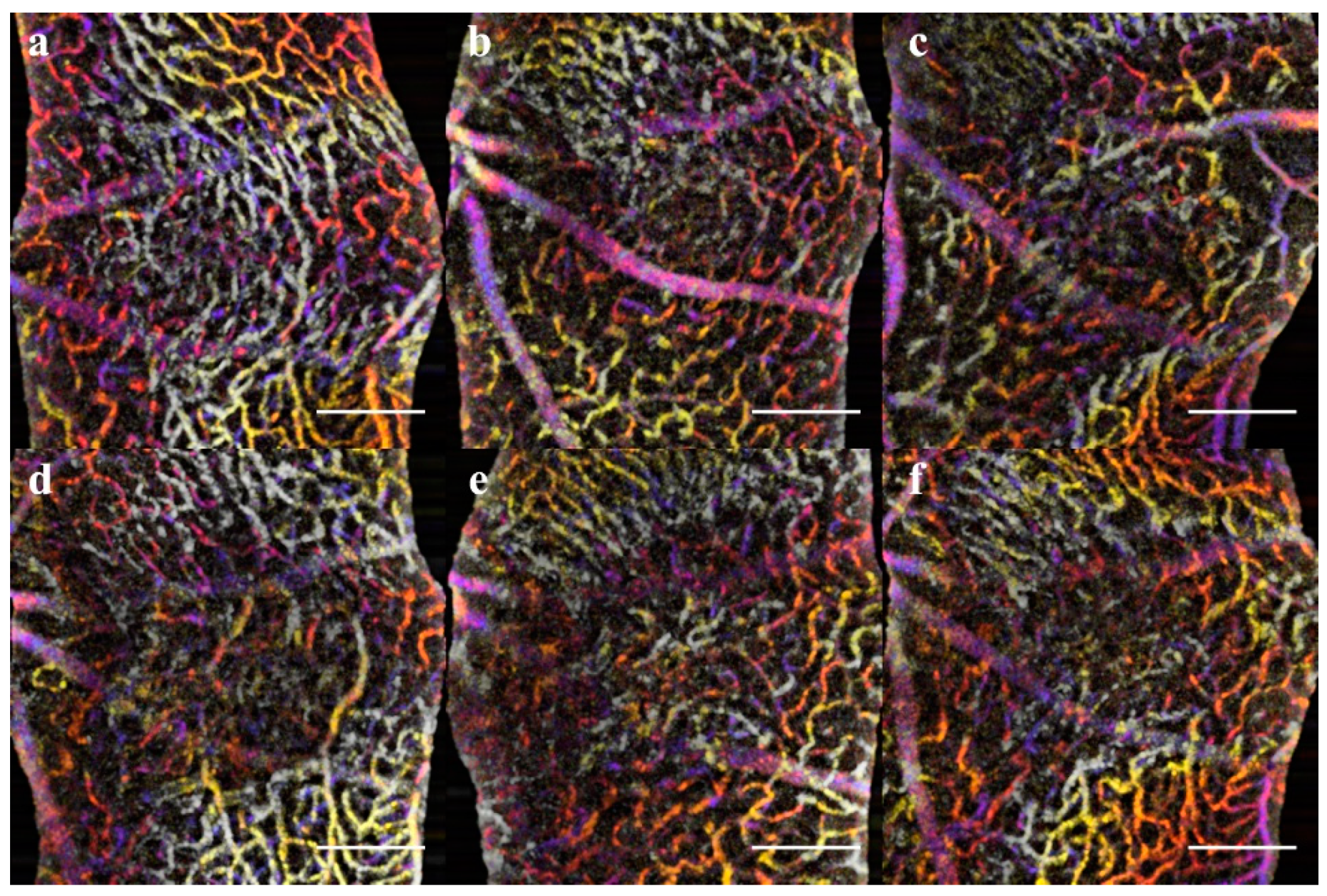 Applsci 09 02617 g010