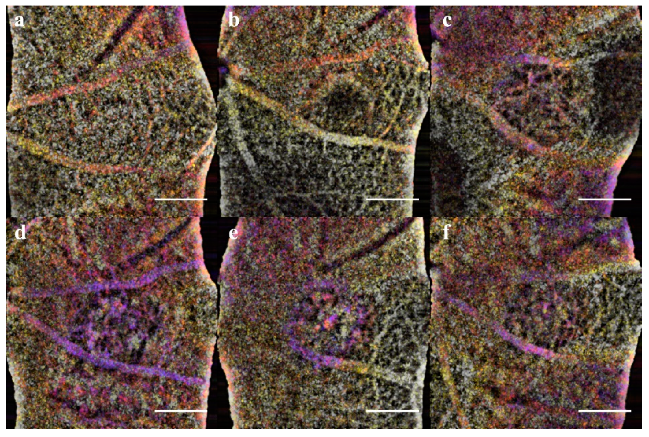 Applsci 09 02617 g011