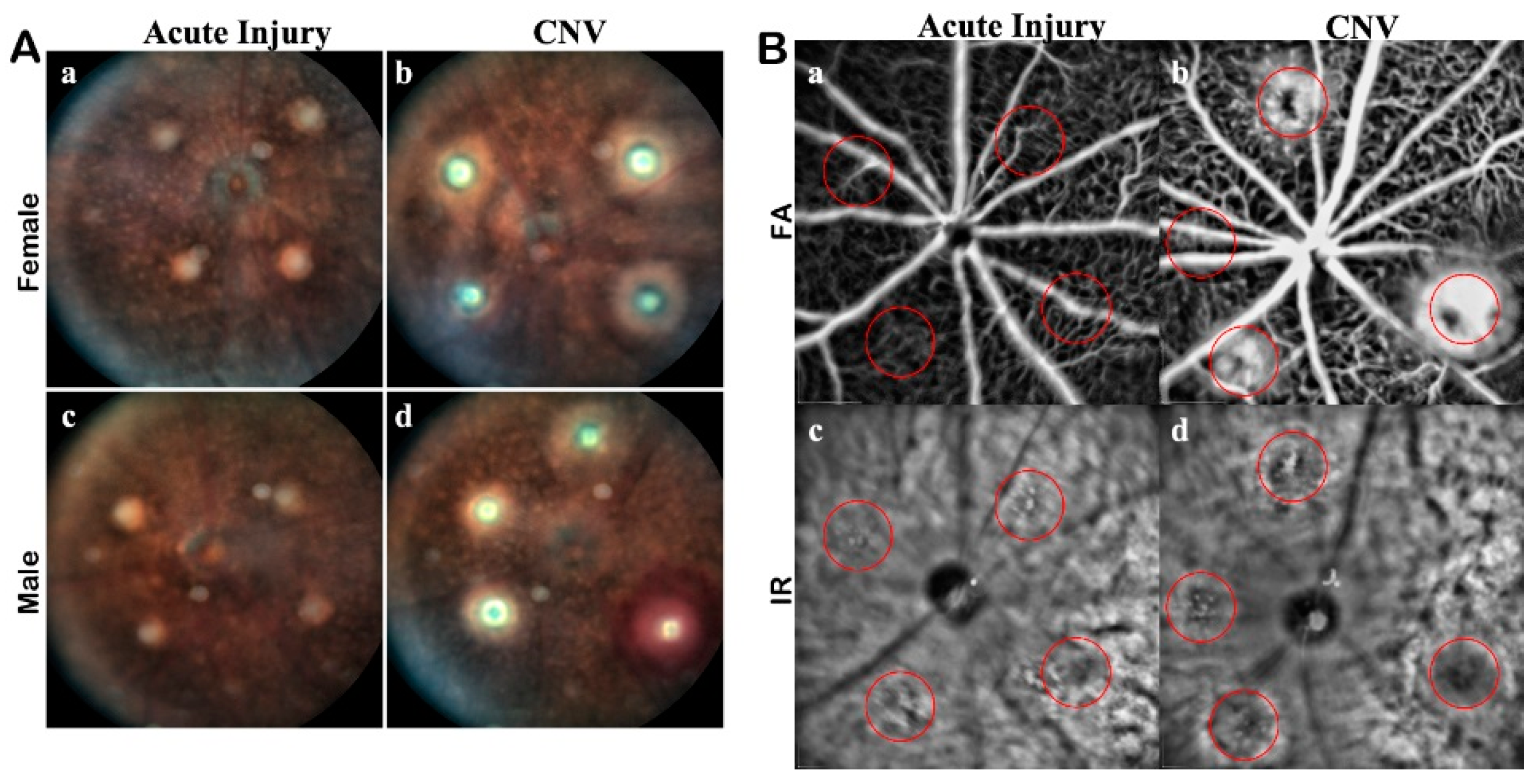 Applsci 09 02617 g0a1