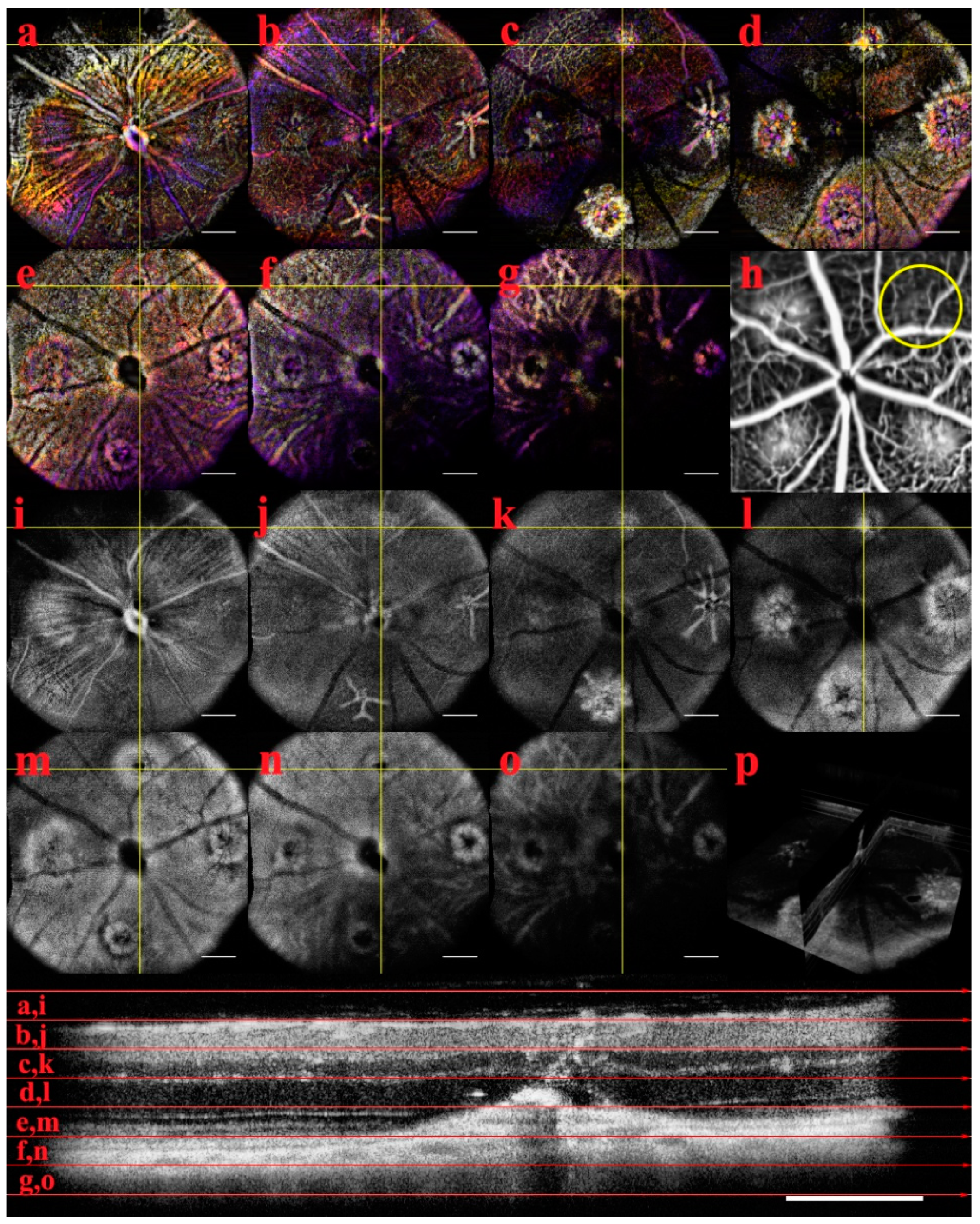 Applsci 09 02617 g0a2