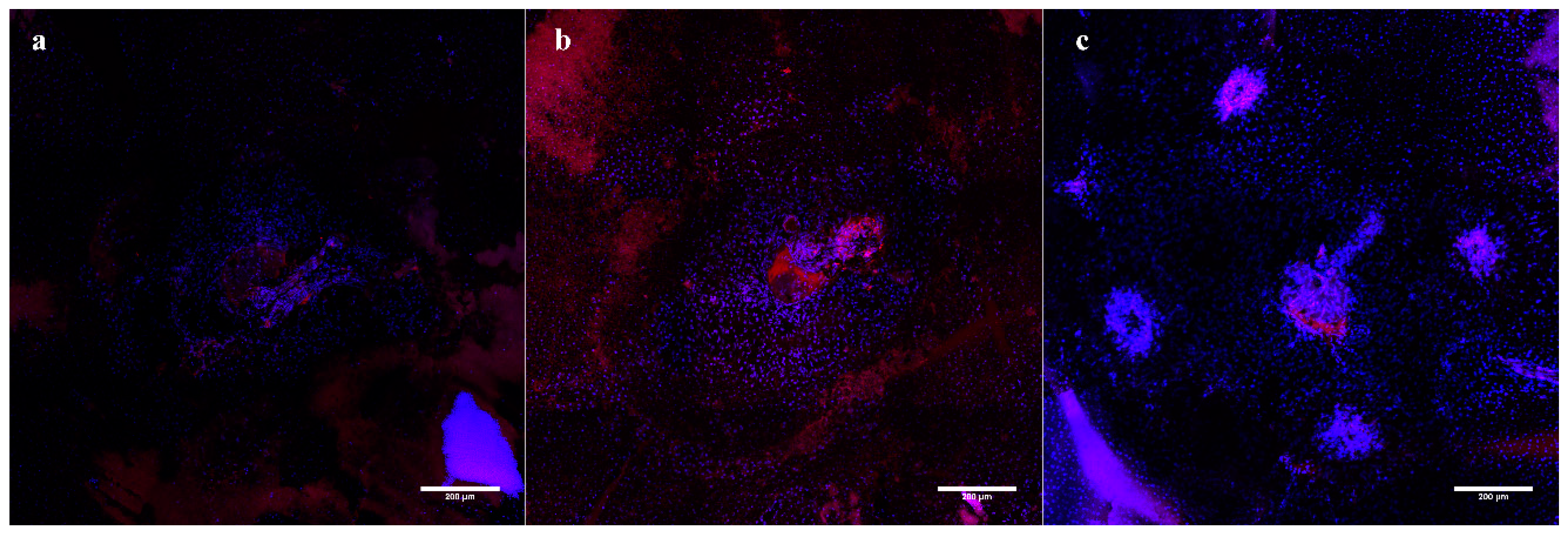 Applsci 09 02617 g0a3