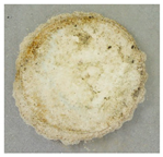 Applsci 09 02642 i004 Applsci 09 02642 i004