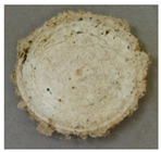 Applsci 09 02642 i007 Applsci 09 02642 i007