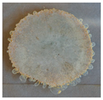 Applsci 09 02642 i009 Applsci 09 02642 i009