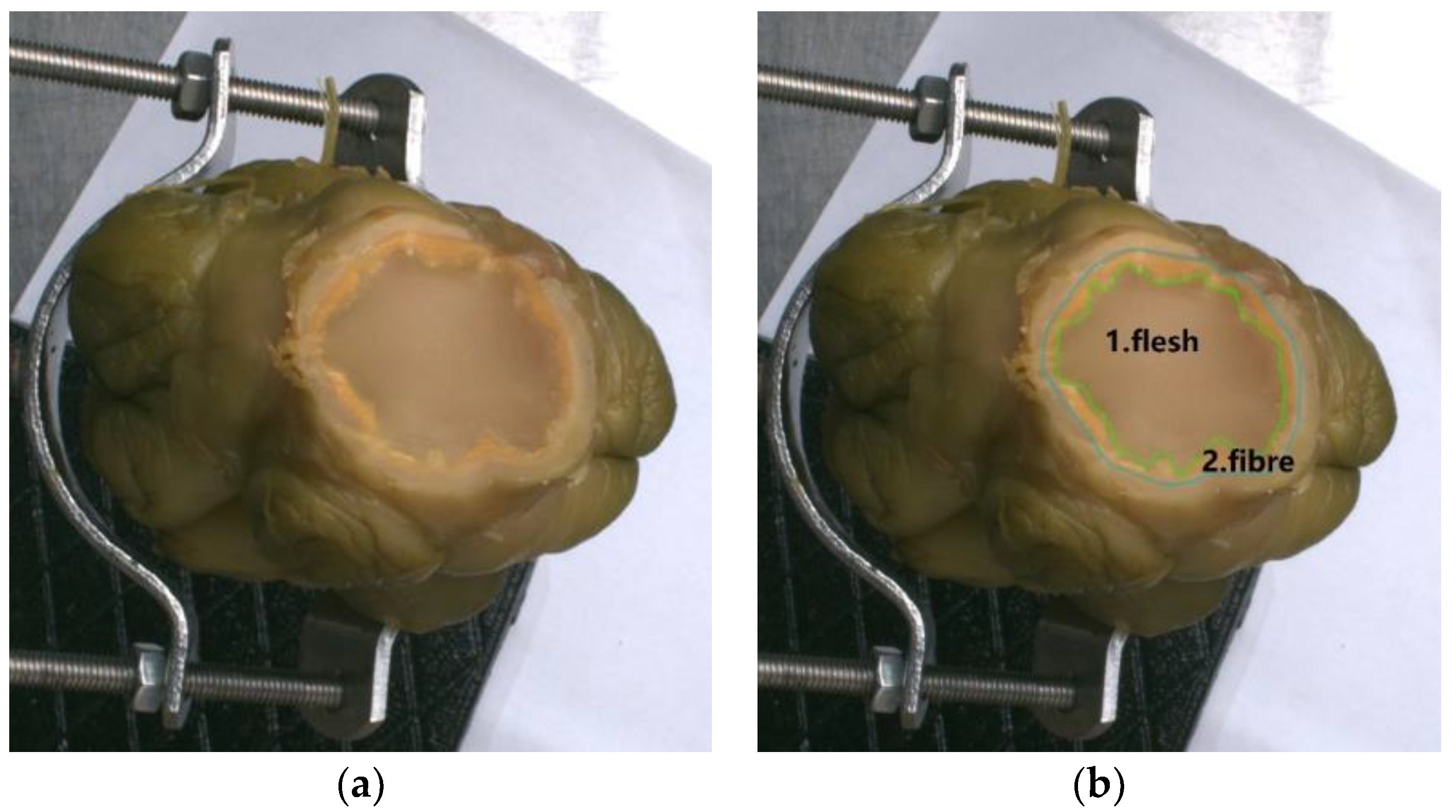 Applsci 09 02684 g001