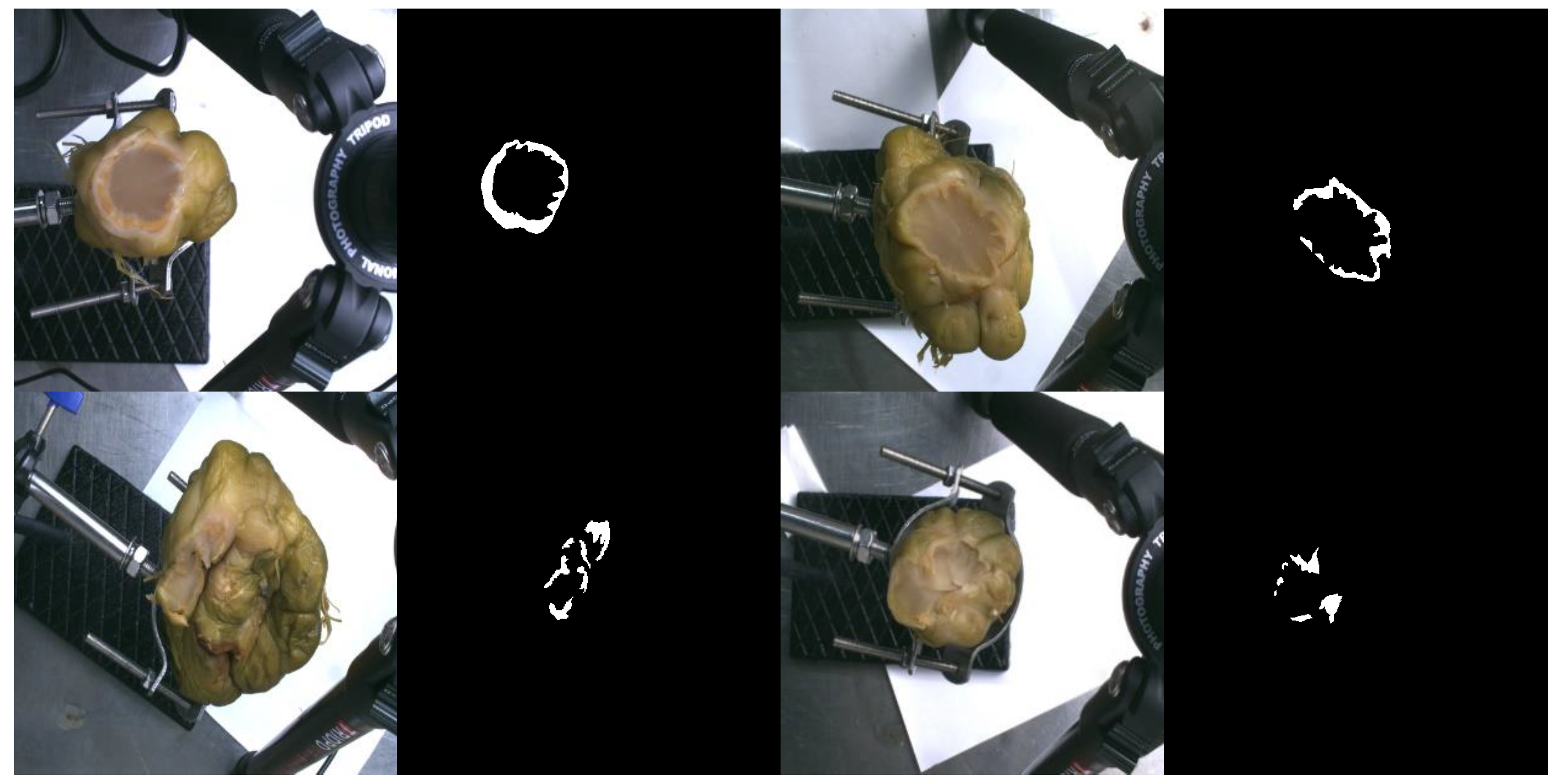 Applsci 09 02684 g003