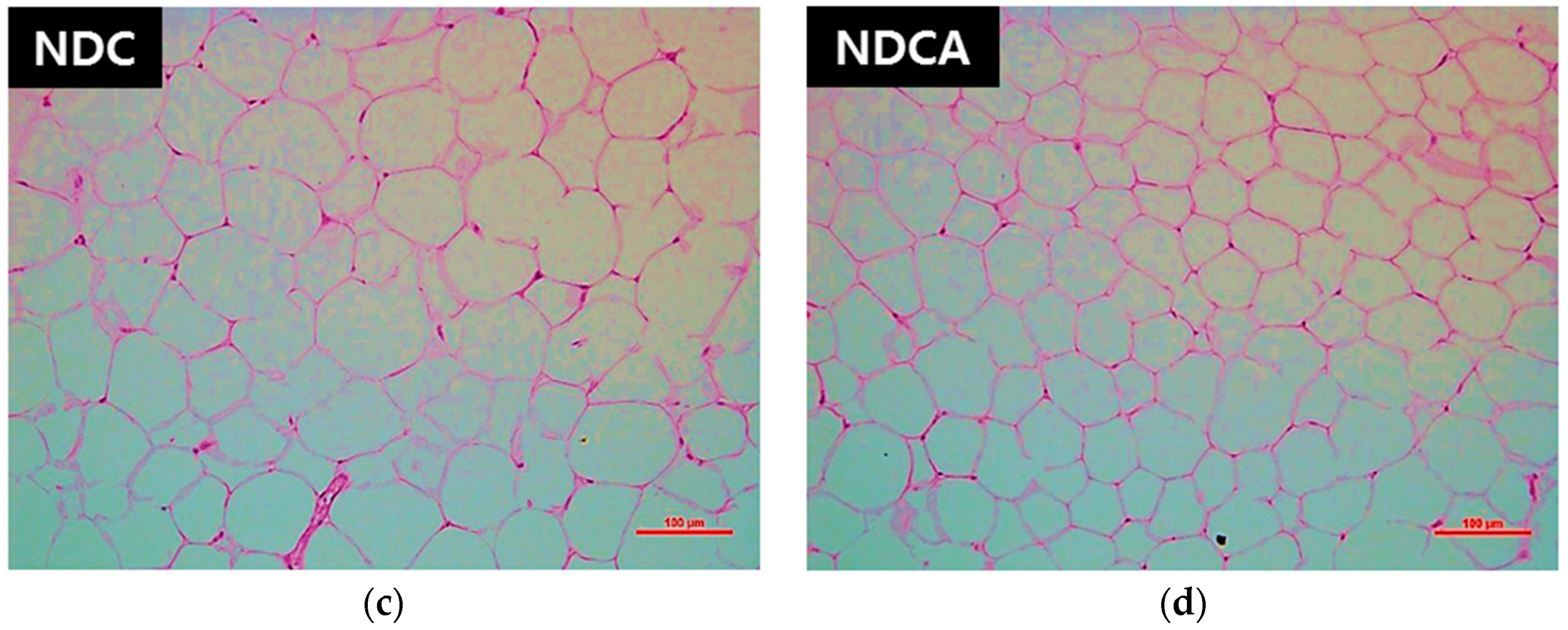 Applsci 09 02750 g007b Applsci 09 02750 g007b
