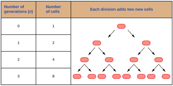 How to Calculate Your Trucking Cycle Recap Hours