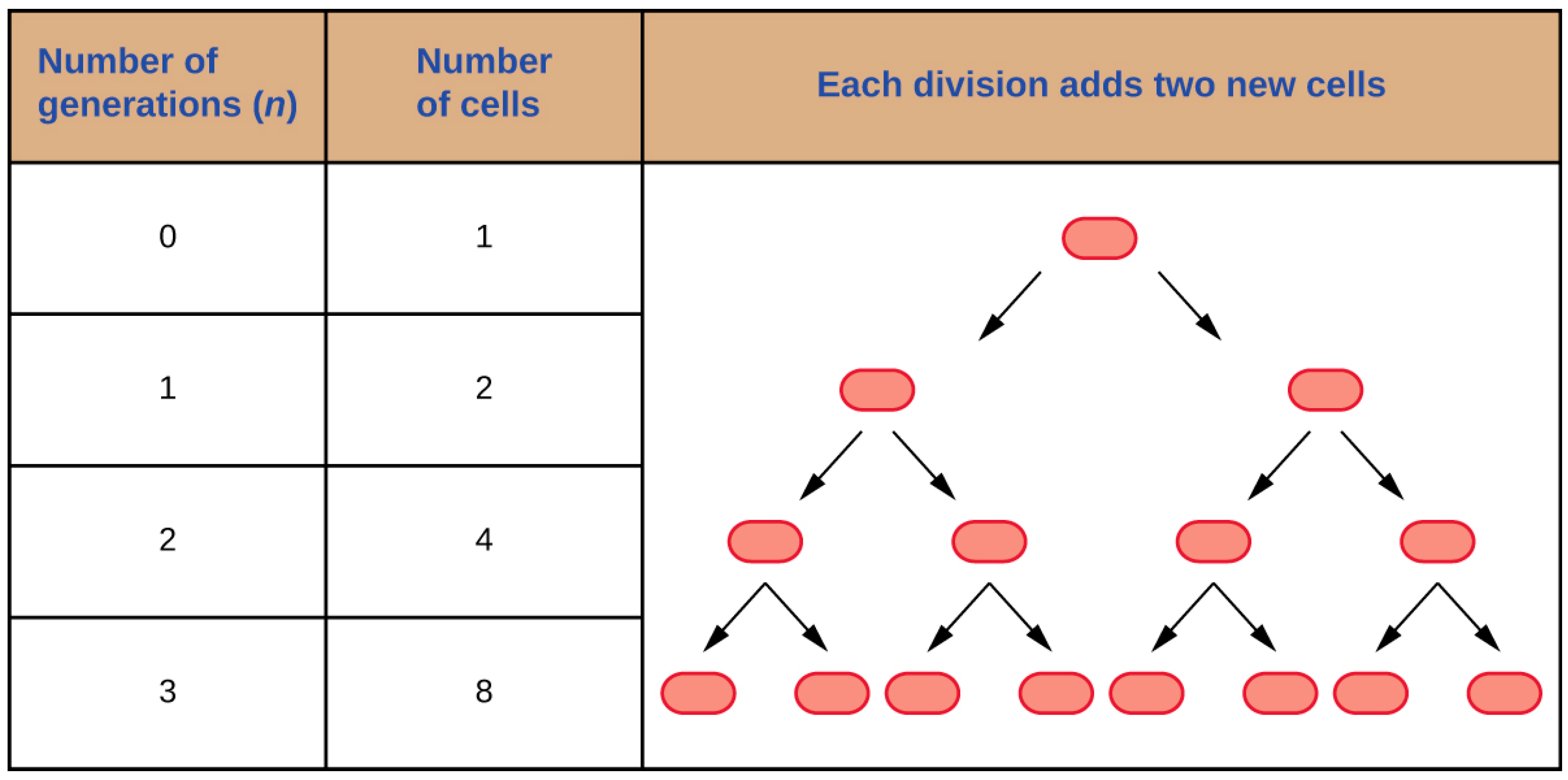 Applsci 09 02801 g001