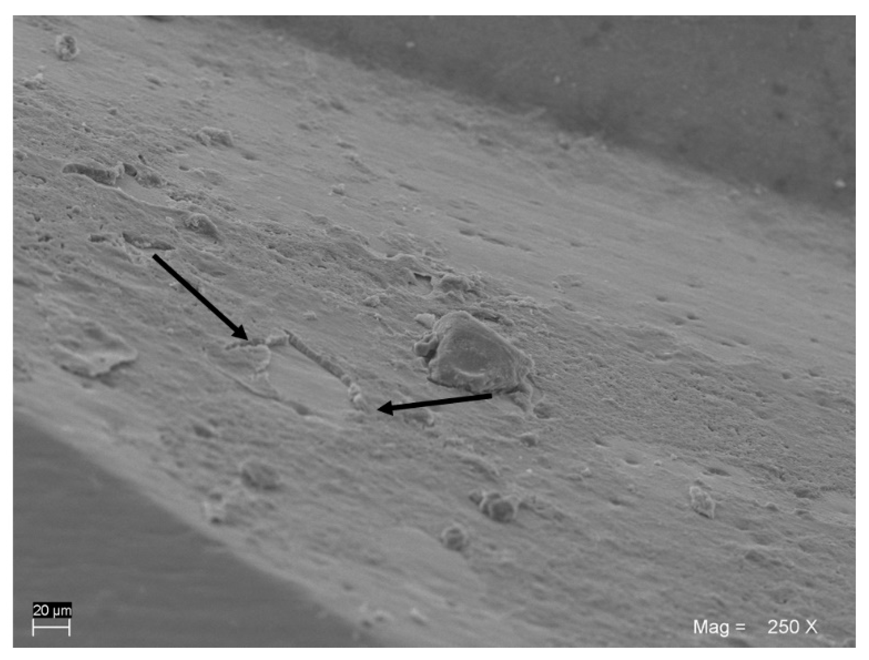 Applsci 09 02837 g004 Applsci 09 02837 g004