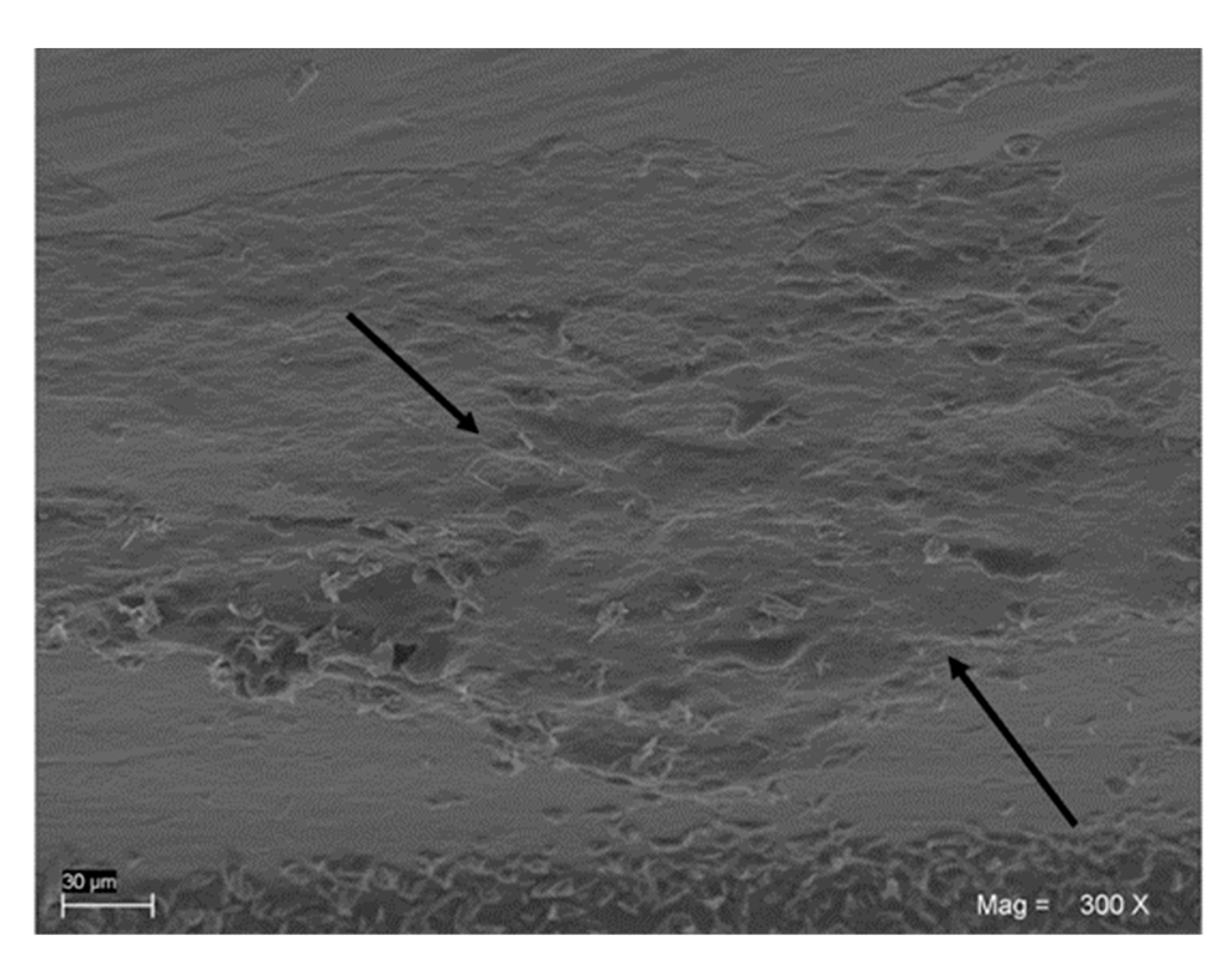 Applsci 09 02837 g006 Applsci 09 02837 g006