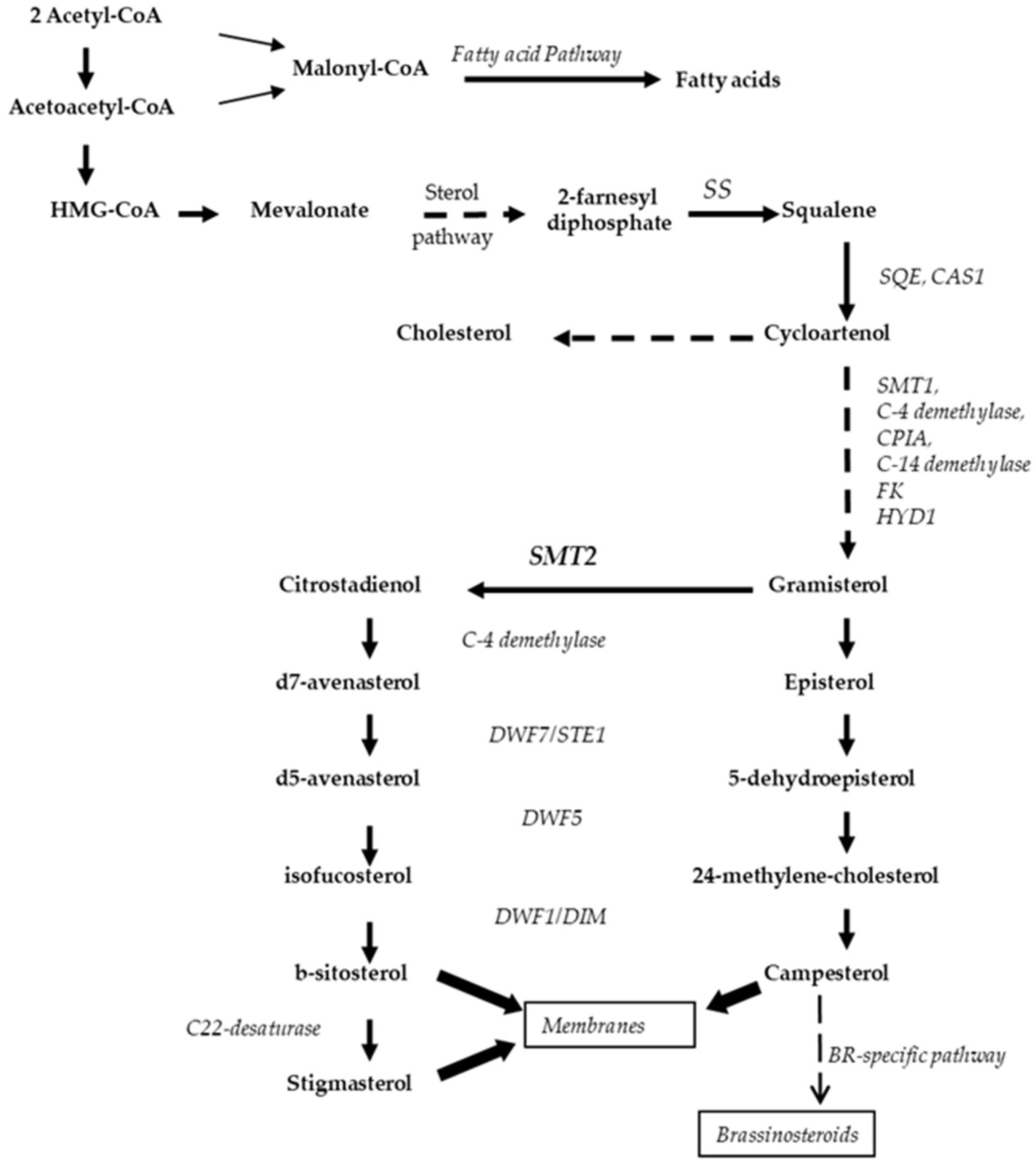 Applsci 09 02839 g005