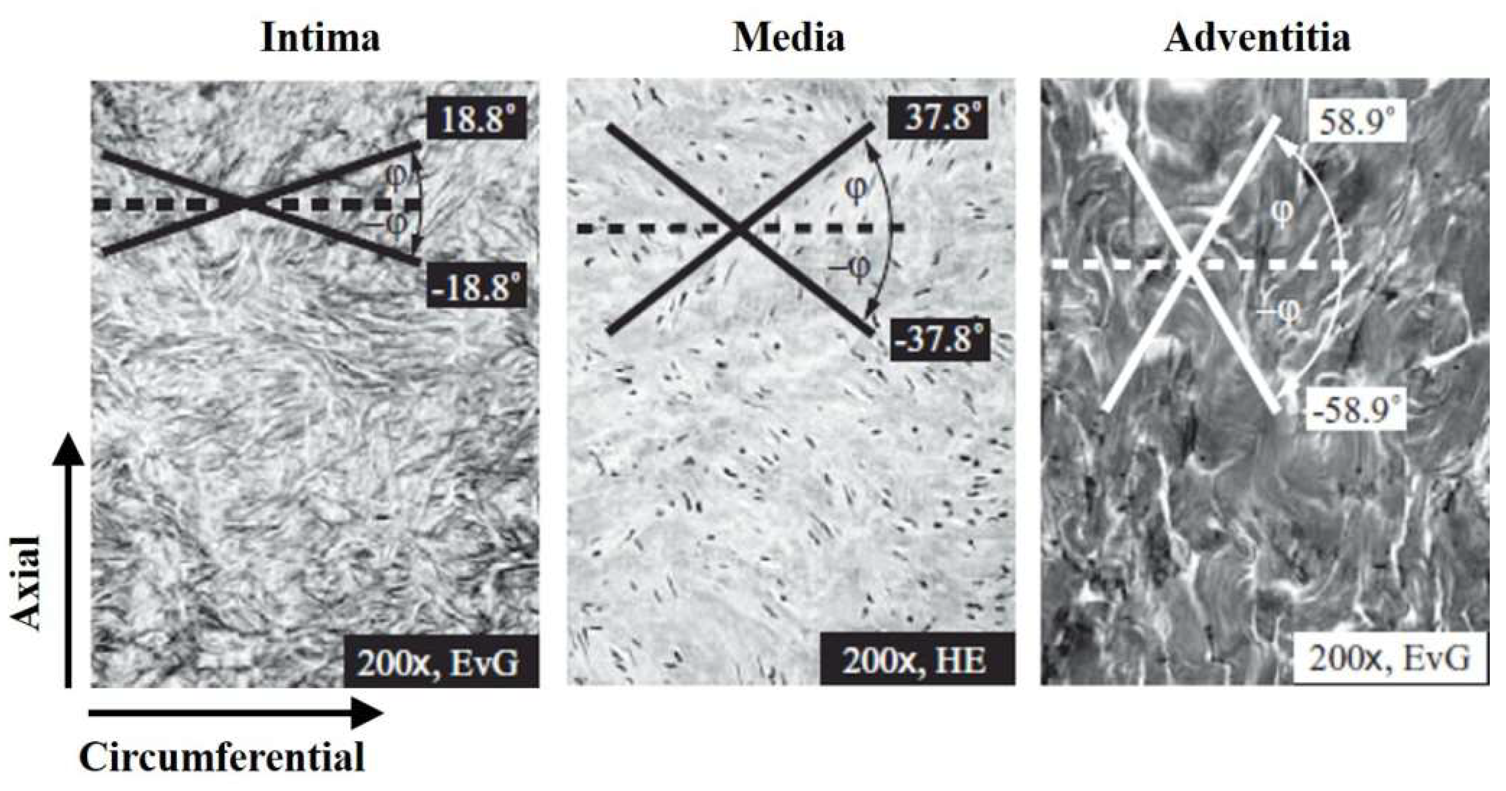 Applsci 09 02851 g004 Applsci 09 02851 g004