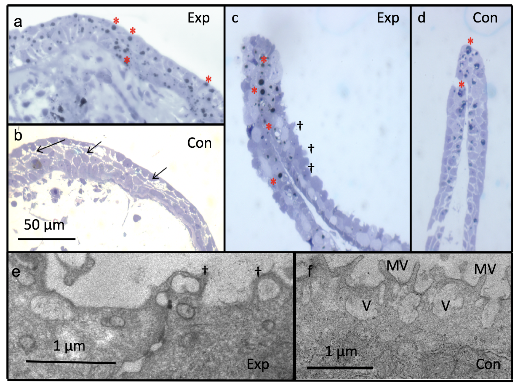 Applsci 09 02860 g008