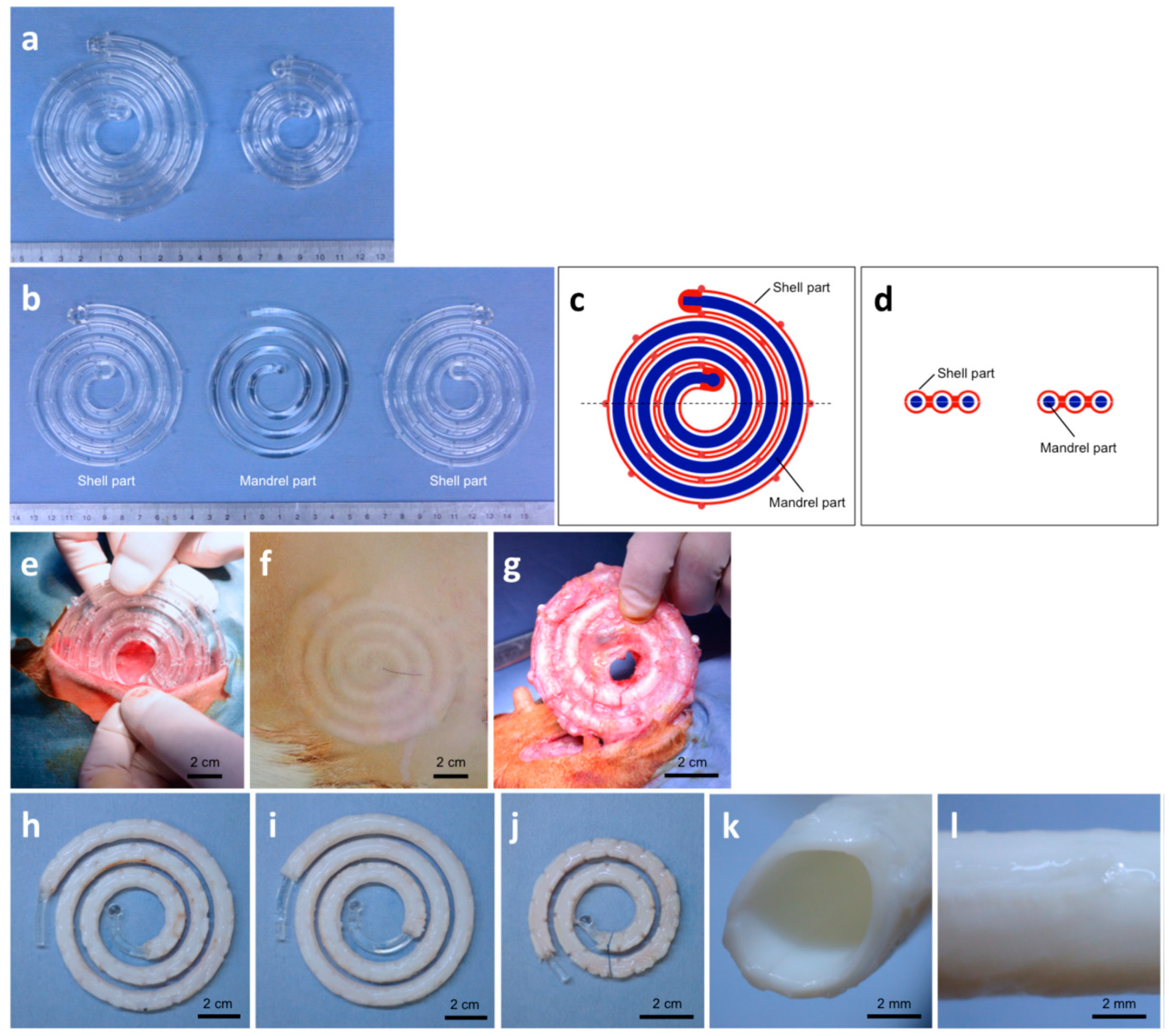 Applsci 09 02864 g004