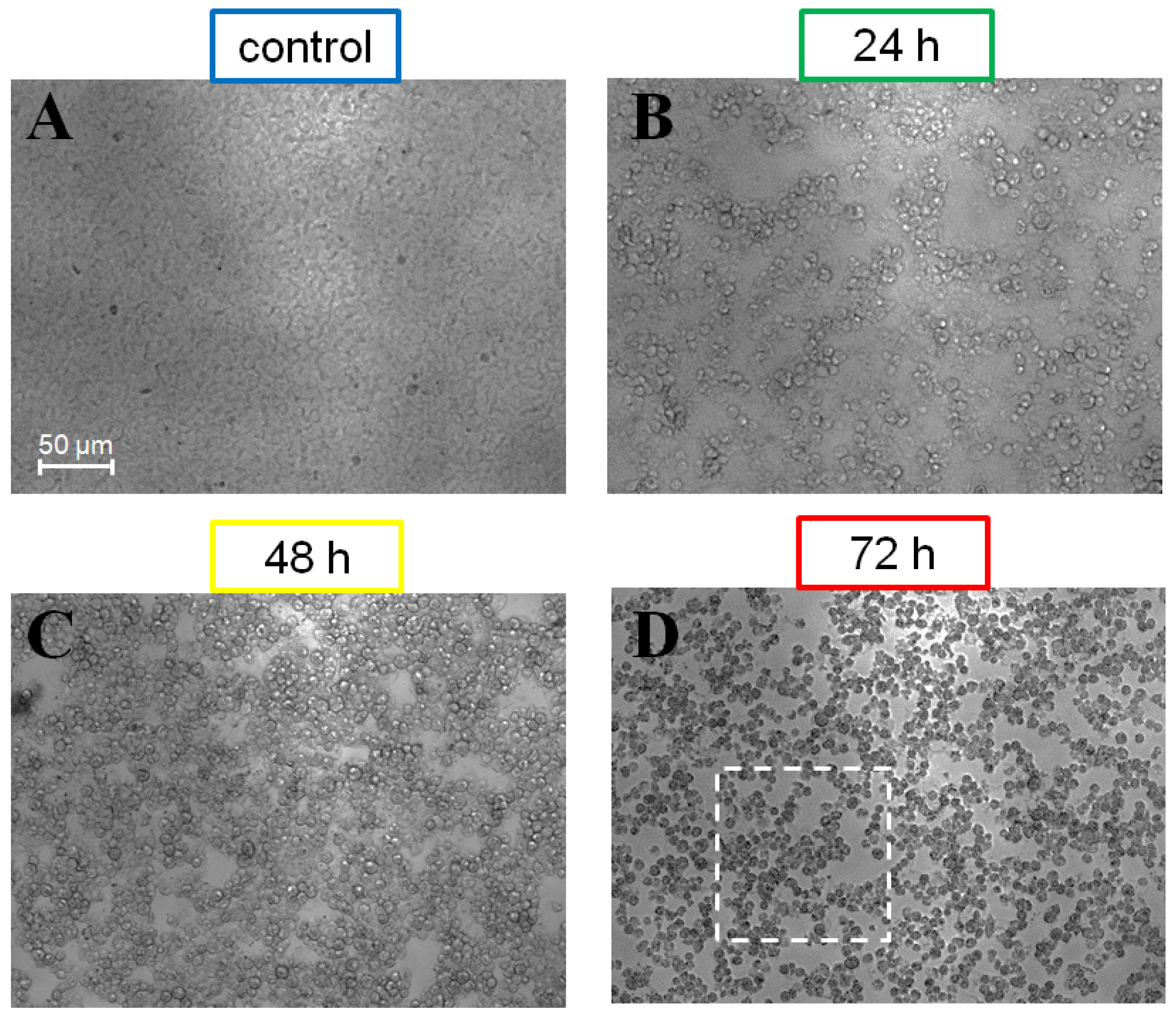 Applsci 09 02886 g004