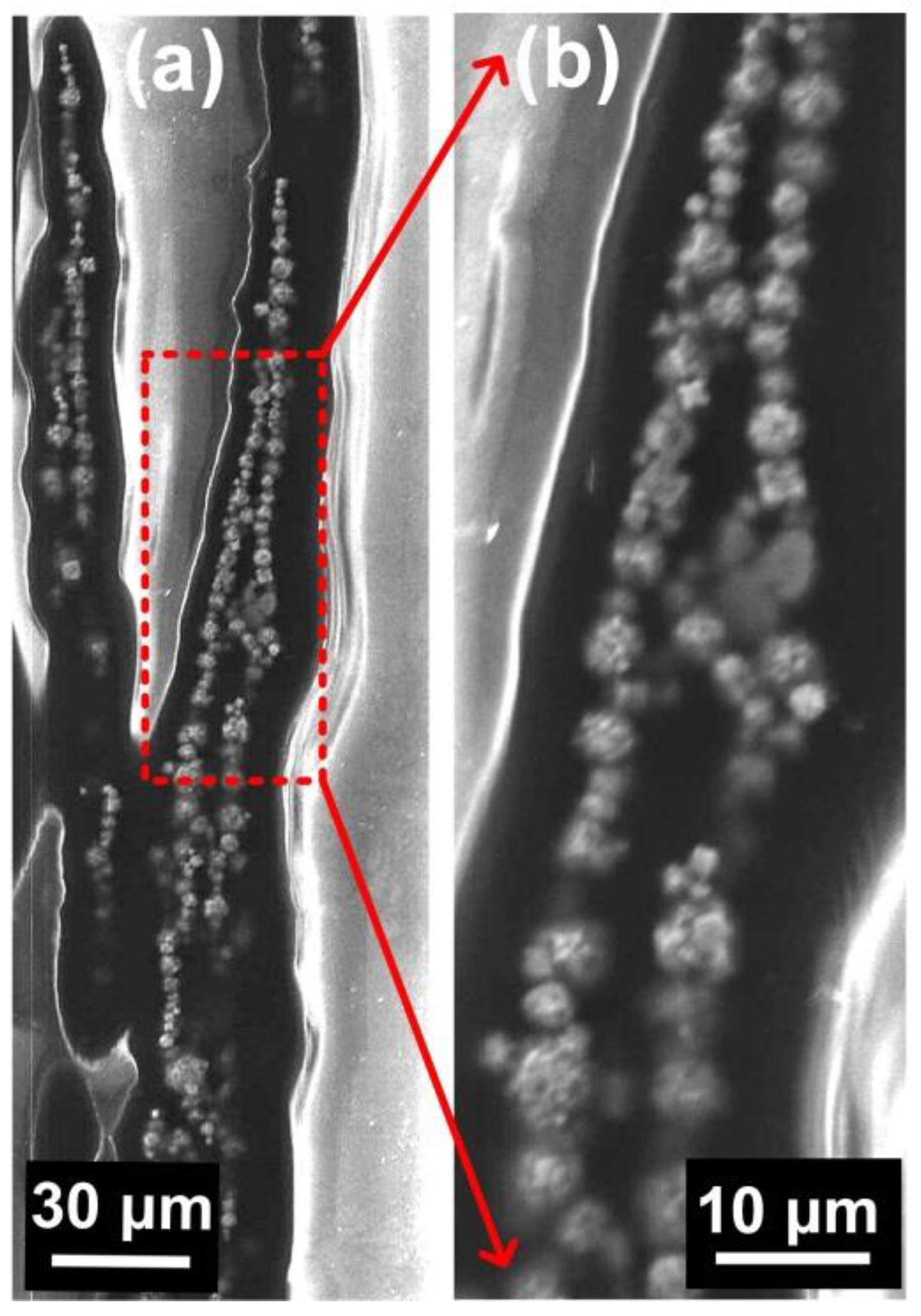 Applsci 09 02919 g002