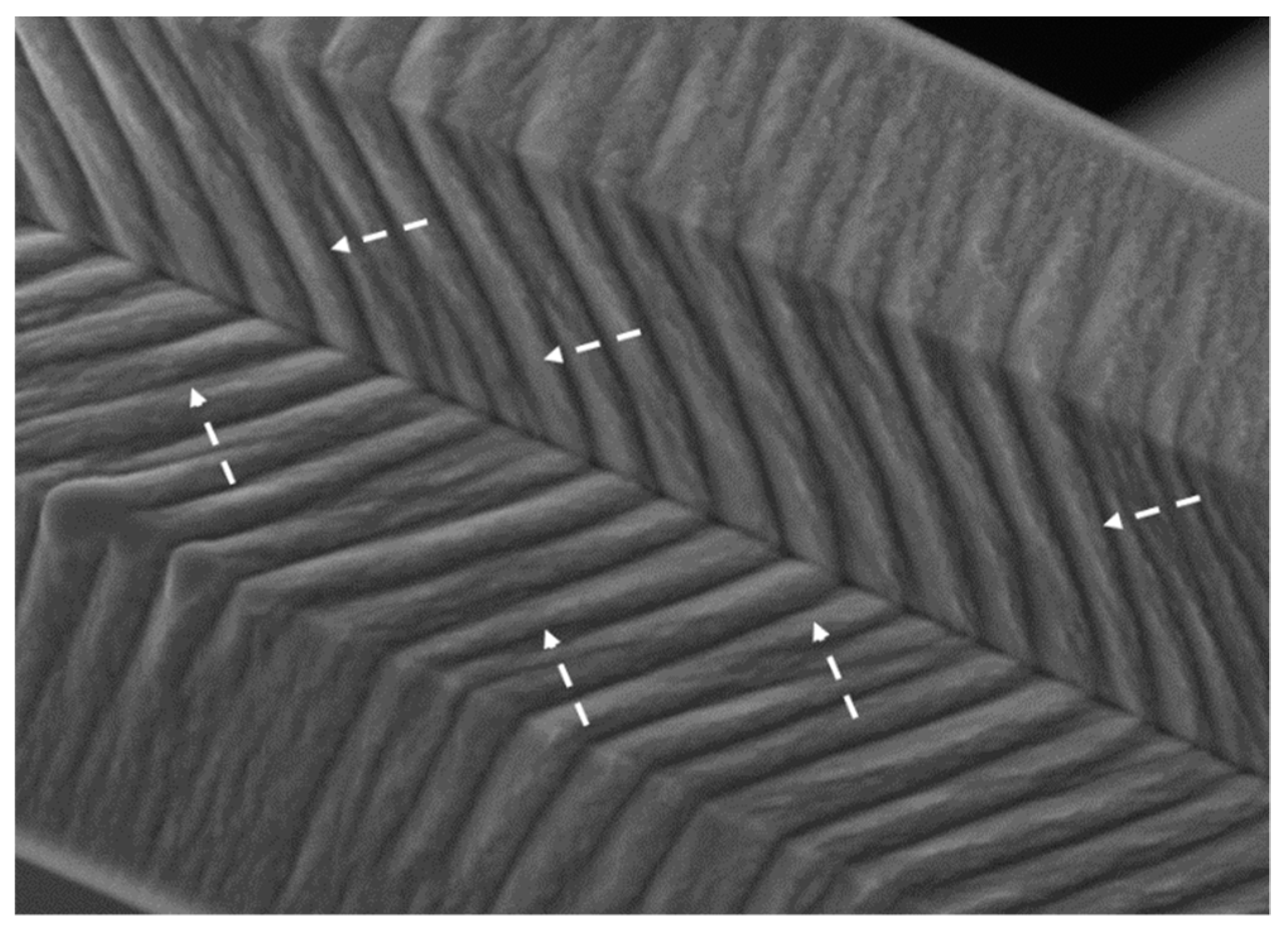 Applsci 09 02940 g013 550