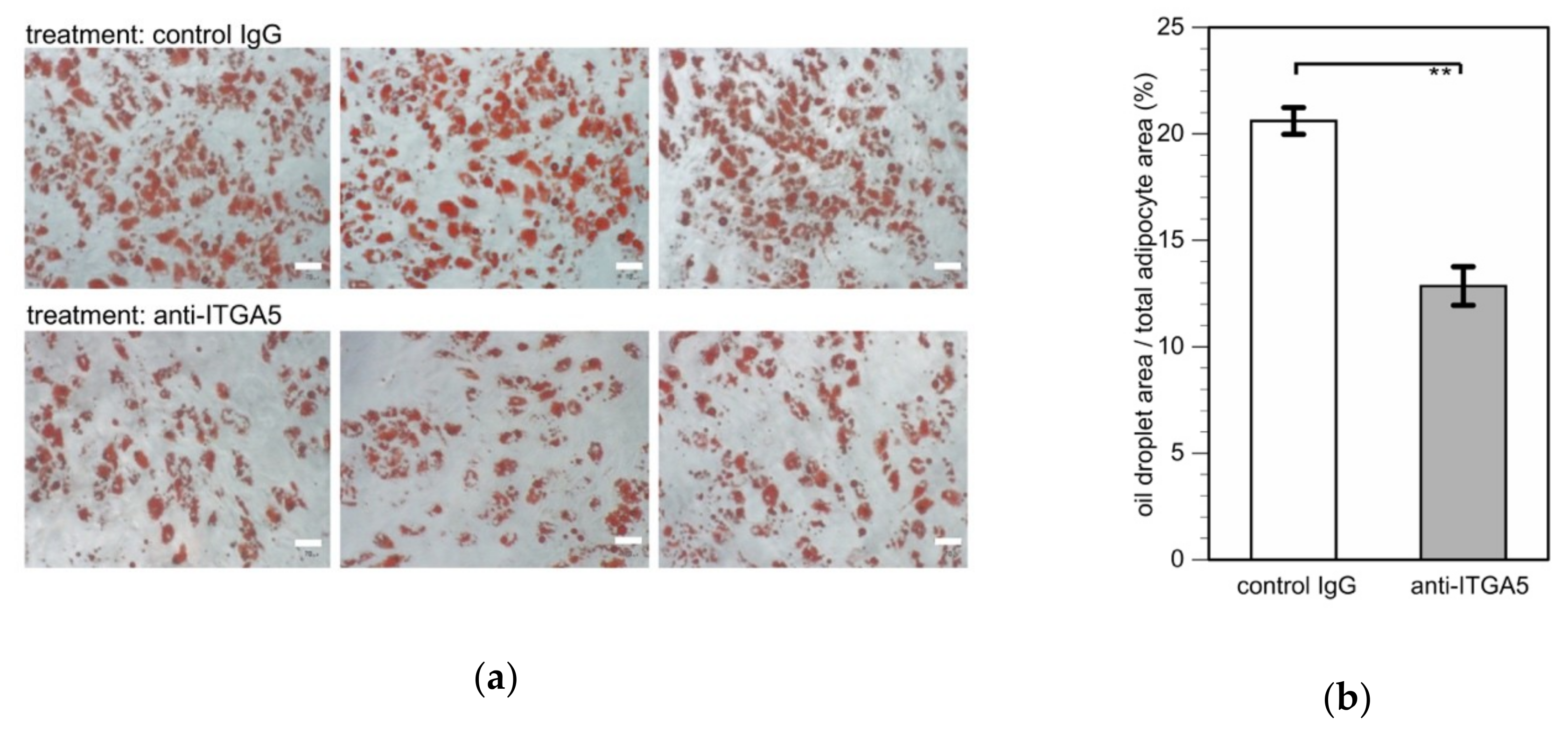 Applsci 09 02942 g003 Applsci 09 02942 g003