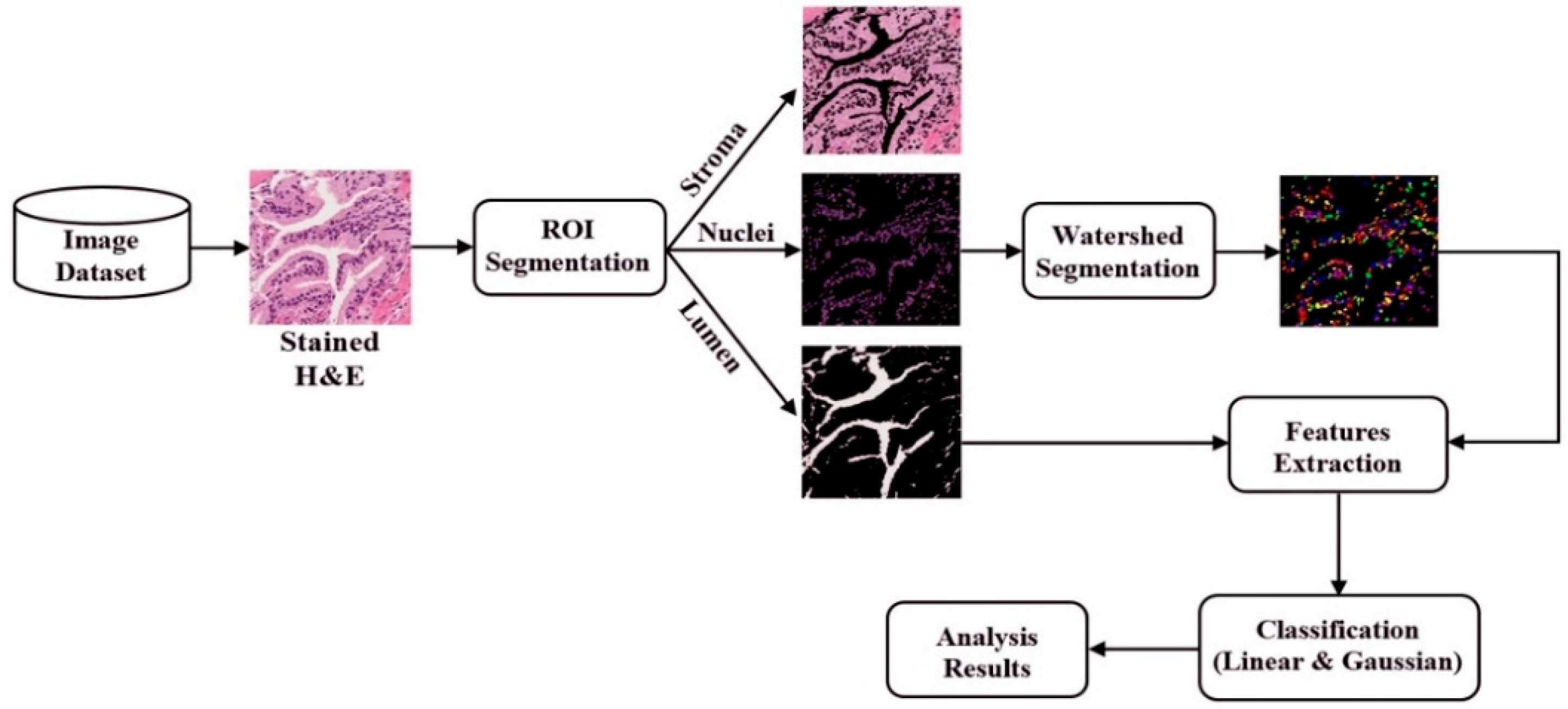 Applsci 09 02969 g002