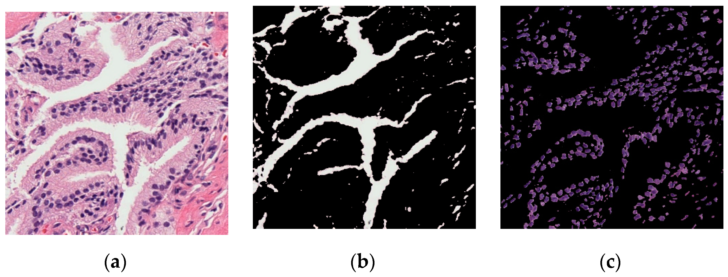 Applsci 09 02969 g003