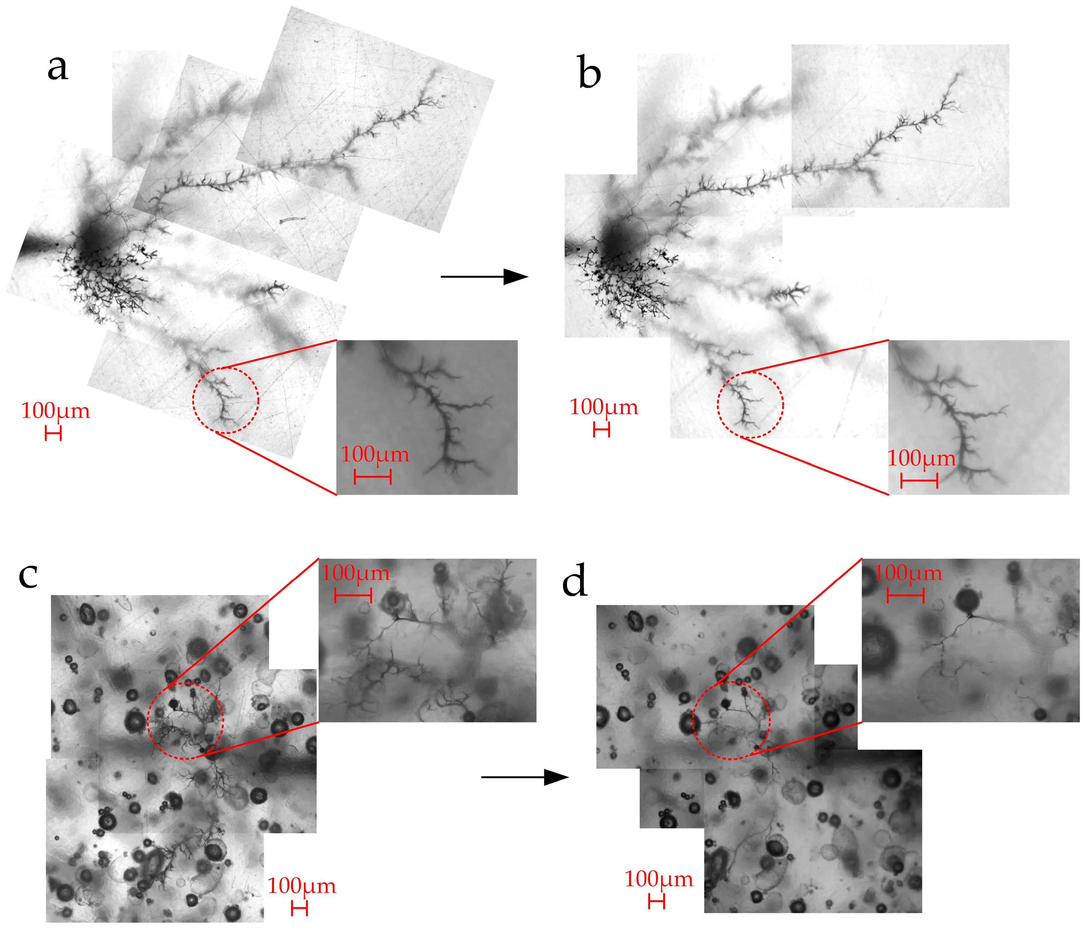 Applsci 09 03039 g004 Applsci 09 03039 g004